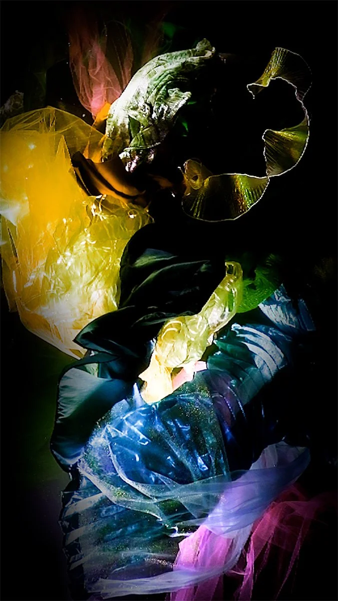 Christy Lee Rogers’ latest immersive video work, Bloom, is now available for acquisition as a fine art video installation. A departure from her figurative style, Bloom explores the pure abstraction of underwater light, color, and form. Shapes pulse a