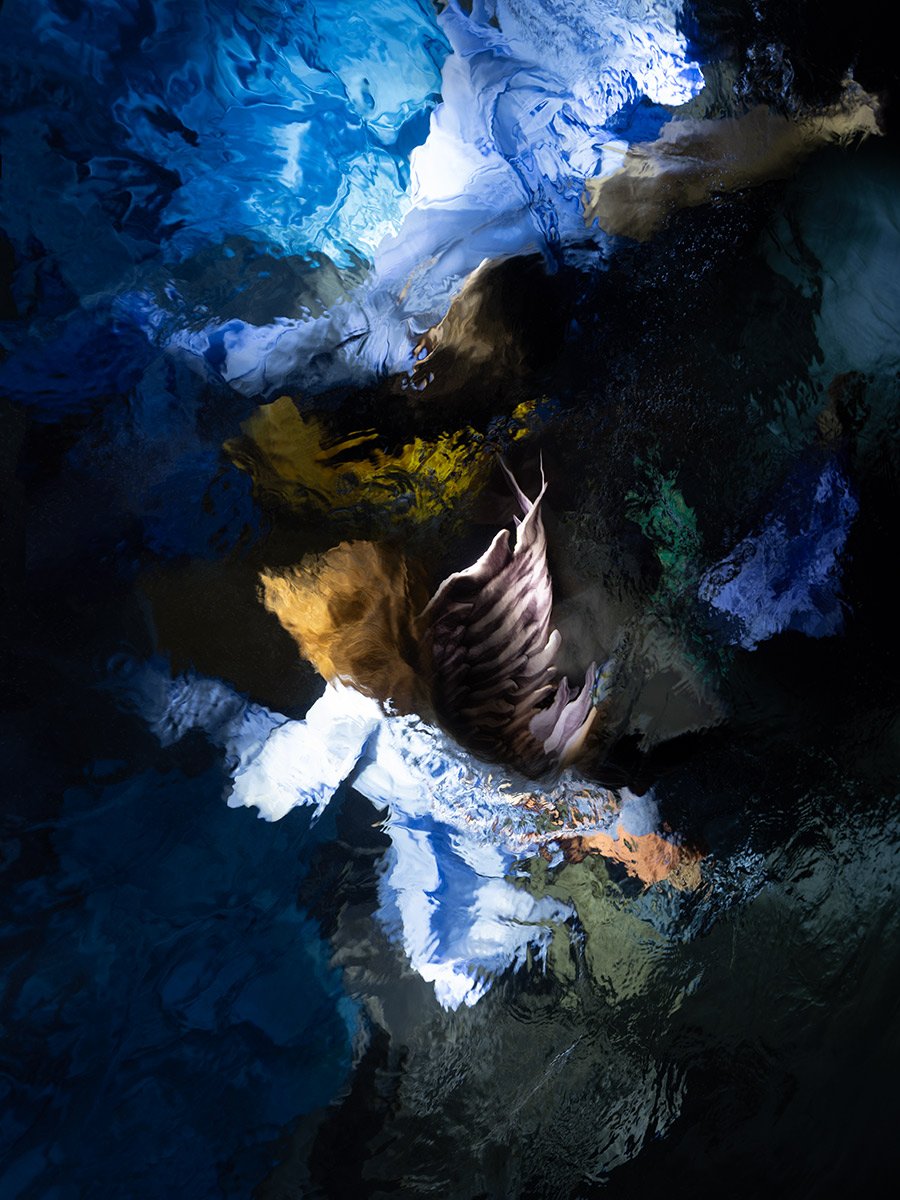 "Lost Amongst the Currents" Fine Art Print by Christy Lee Rogers