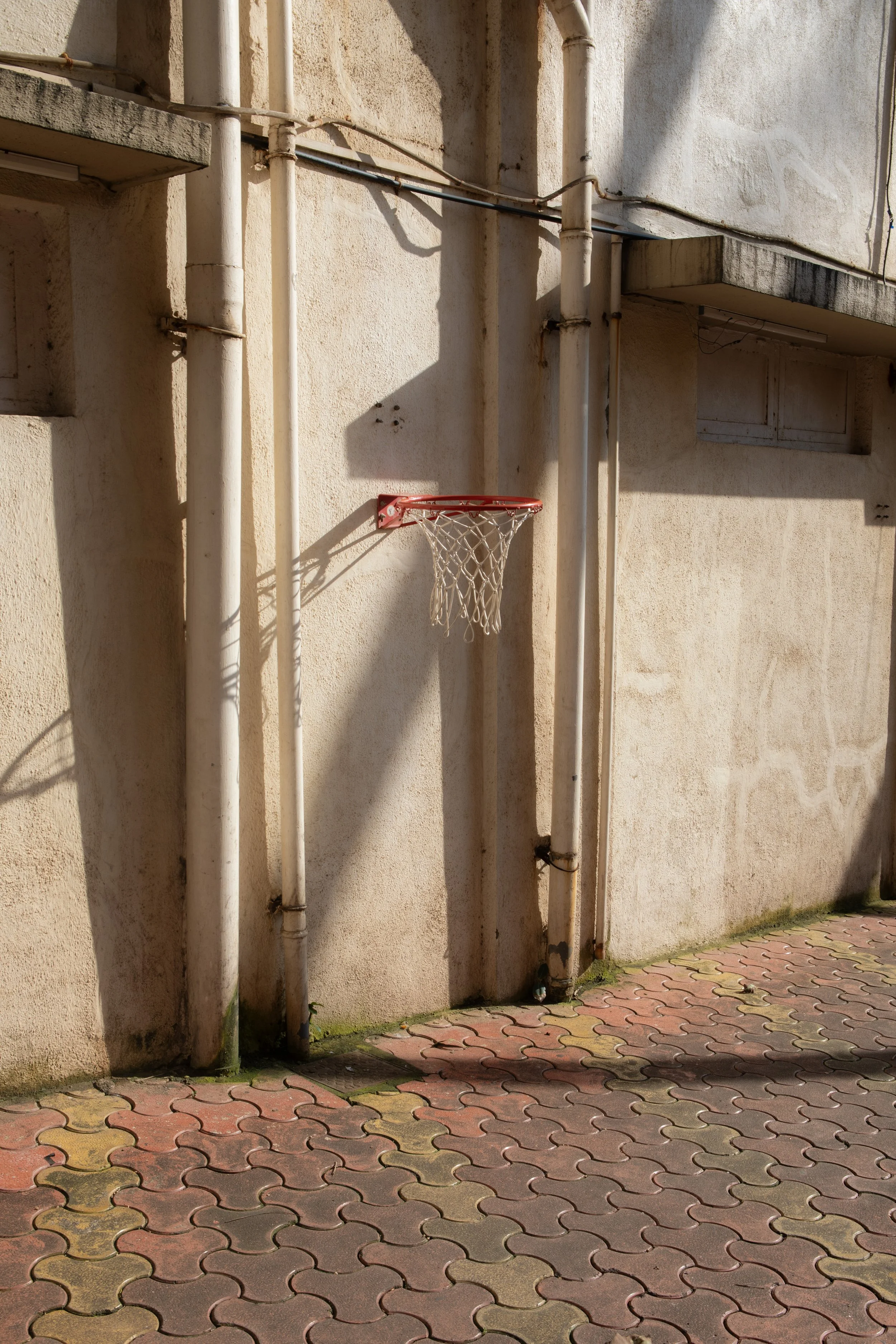 503A7019 copy medium.jpg