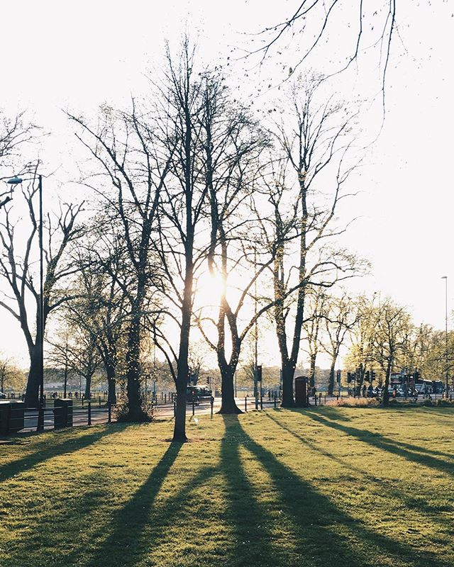Well check you out, Cambridge - serving up golden evening light like you wouldn&rsquo;t believe...✨