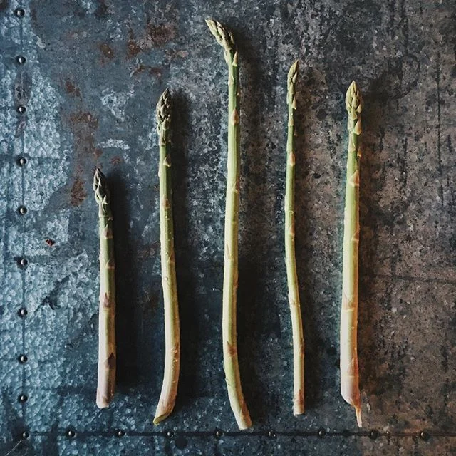 A play in three acts, that was four years in the making: or rather, what happens when you get so over-excited about eating the first few spears of asparagus from your own garden that you forget to grab your actual camera in time.

Featherlight, velve