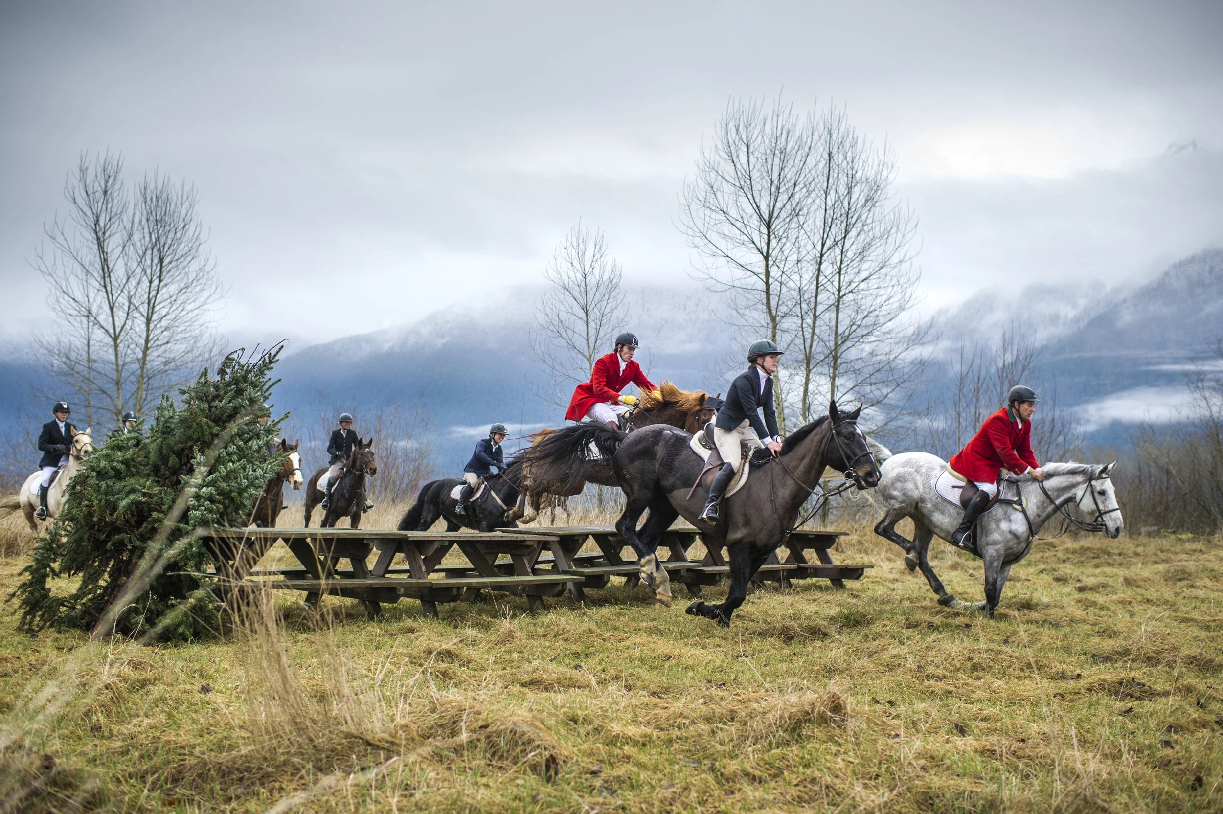  December 26, 2014 - Agassiz, BC - Fraser Valley Fox Hunt. Photo by Jimmy Jeong 