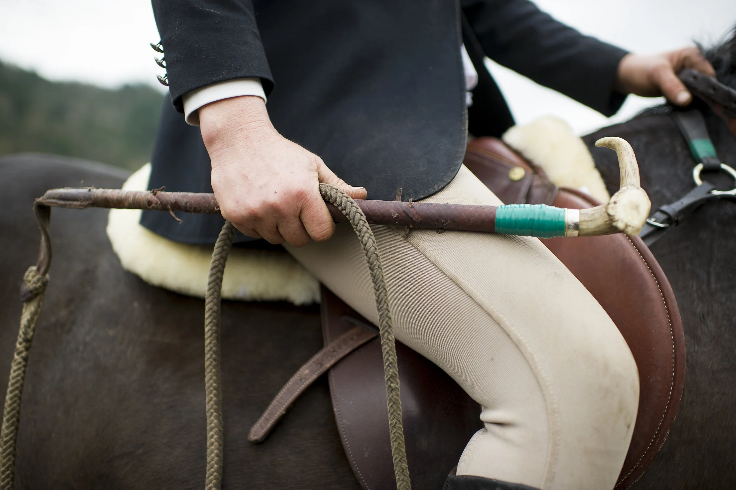  December 26, 2014 - Agassiz, BC - Fraser Valley Fox Hunt. Photo by Jimmy Jeong 