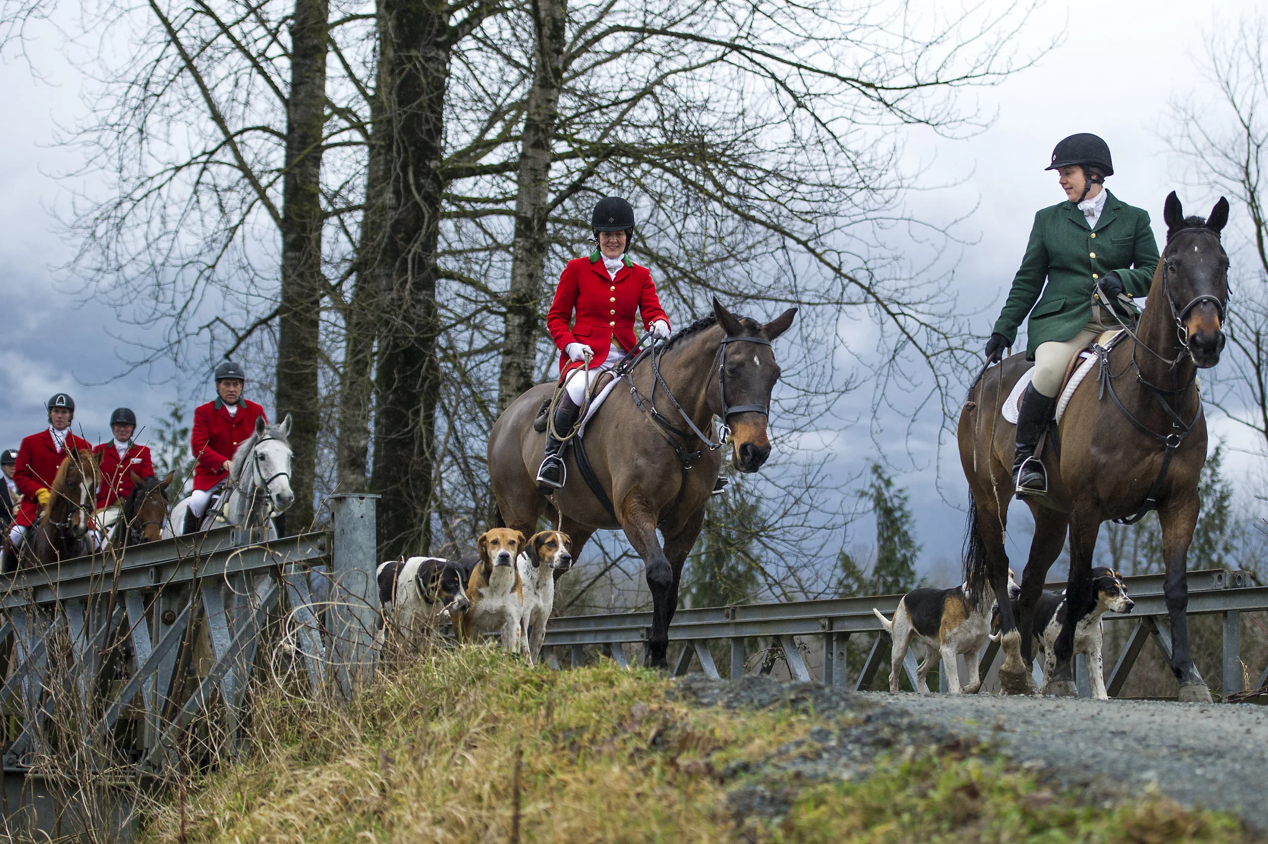  December 26, 2014 - Agassiz, BC - Fraser Valley Fox Hunt. Photo by Jimmy Jeong 