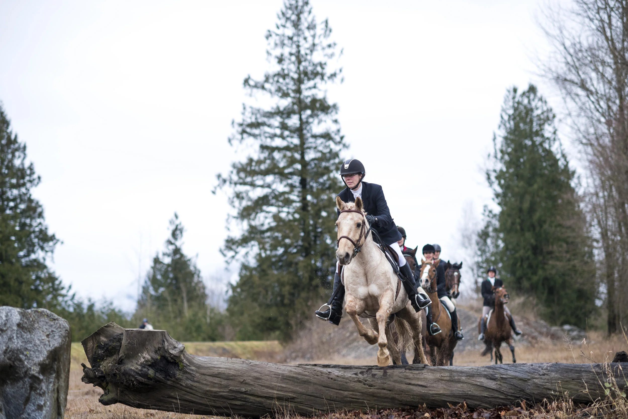  December 26, 2014 - Agassiz, BC - Fraser Valley Fox Hunt. Photo by Jimmy Jeong 