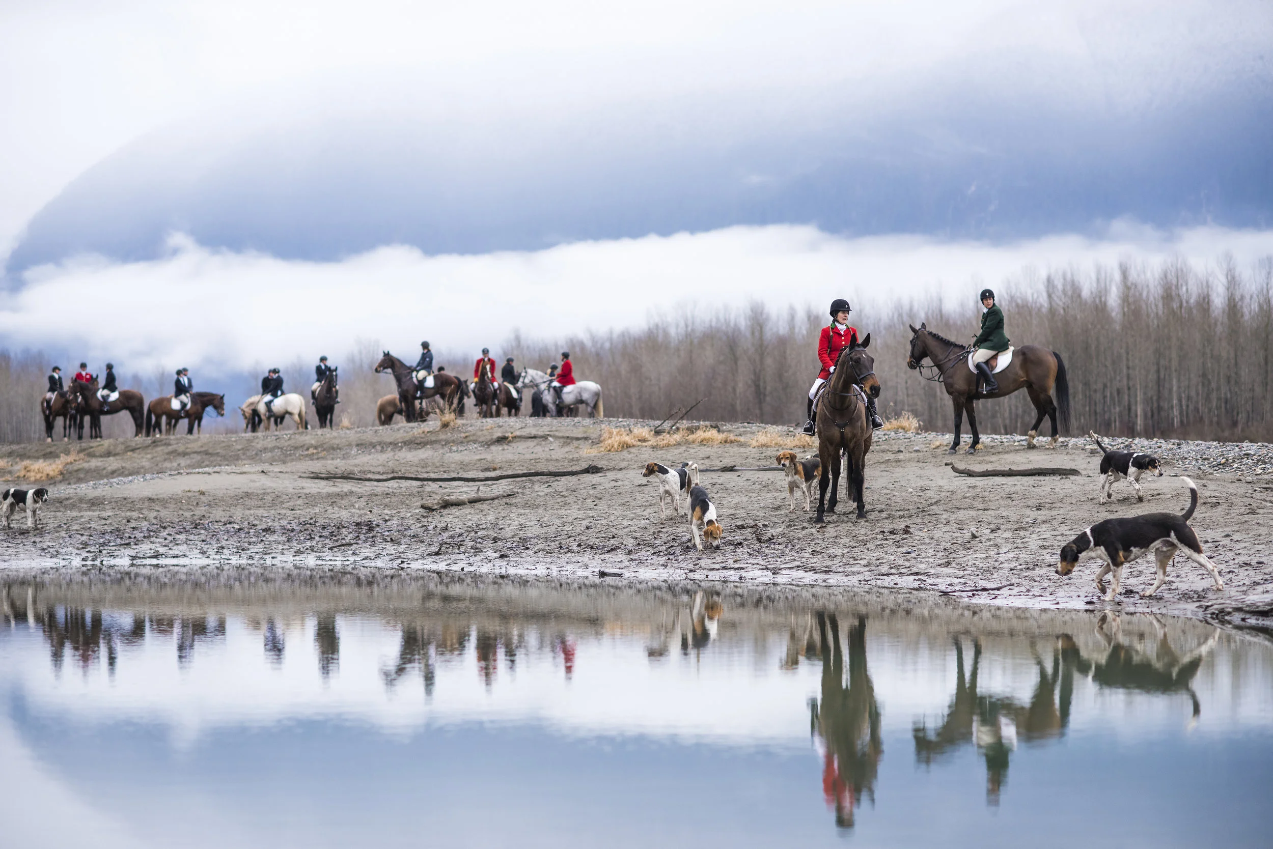  December 26, 2014 - Agassiz, BC - Fraser Valley Fox Hunt. Photo by Jimmy Jeong 