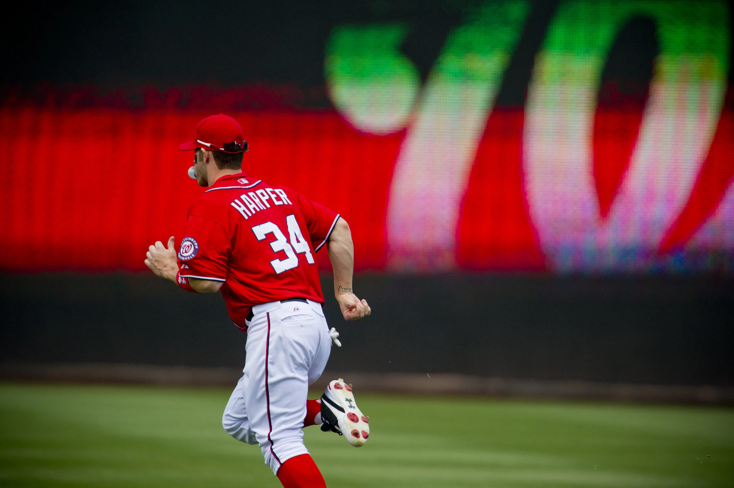 Bryce Harper