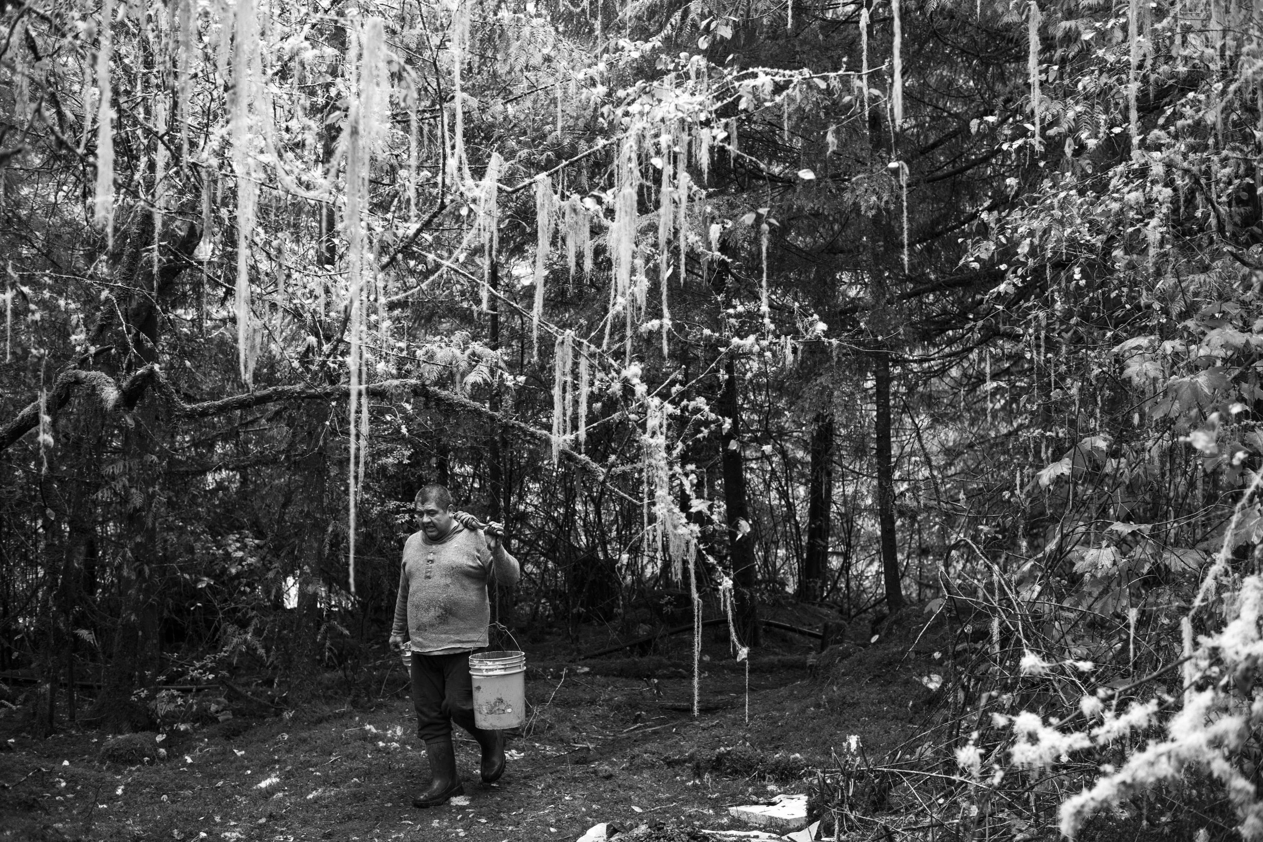  September 18, 2016 - Bella Bella, BC - Robert G. Johnson carrying stones while working to build a new boardwalk in preparation for the visit by the Prince William and Kate. Photo by Jimmy Jeong 