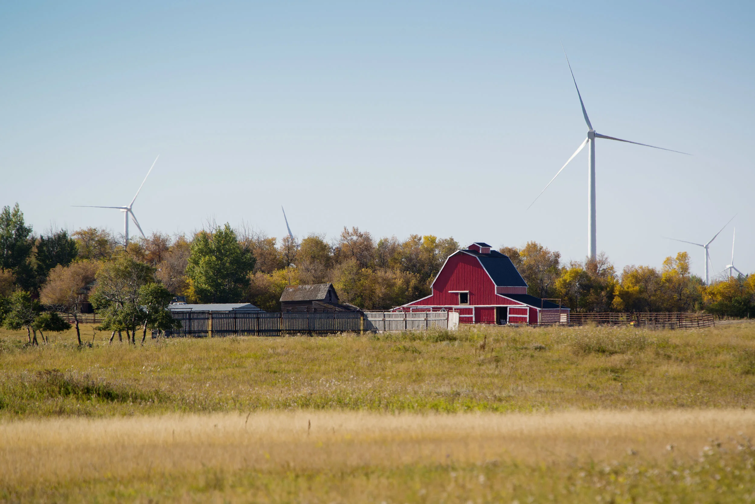  August 17, 2012 - Halkirk, Alberta - Capital Power's Halkirk Wind project. Photo by Jimmy Jeong 