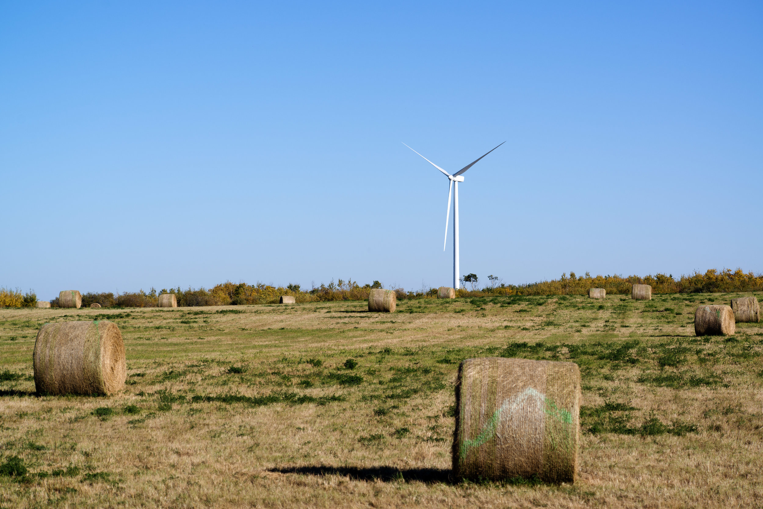  August 17, 2012 - Halkirk, Alberta - Capital Power's Halkirk Wind project. Photo by Jimmy Jeong 