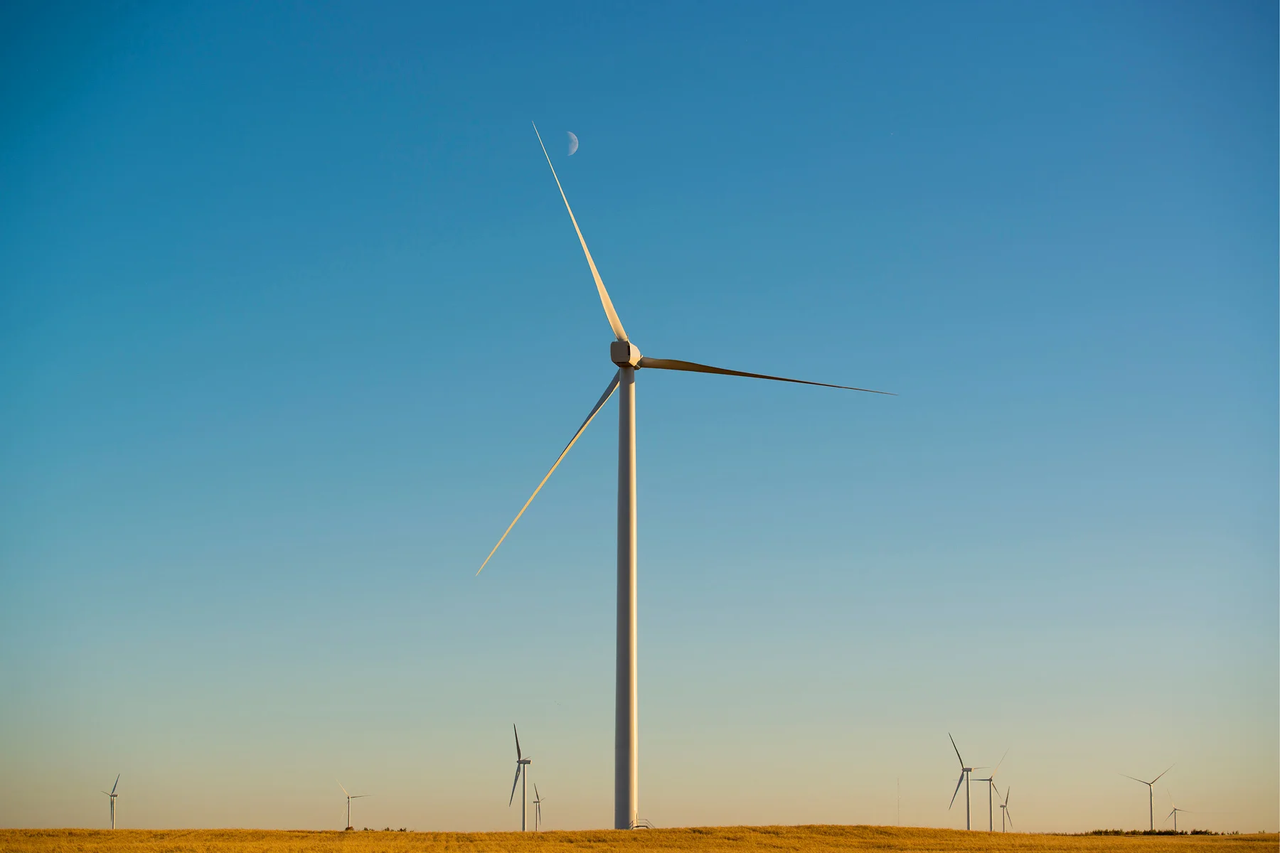  August 17, 2012 - Halkirk, Alberta - Capital Power's Halkirk Wind project. Photo by Jimmy Jeong 