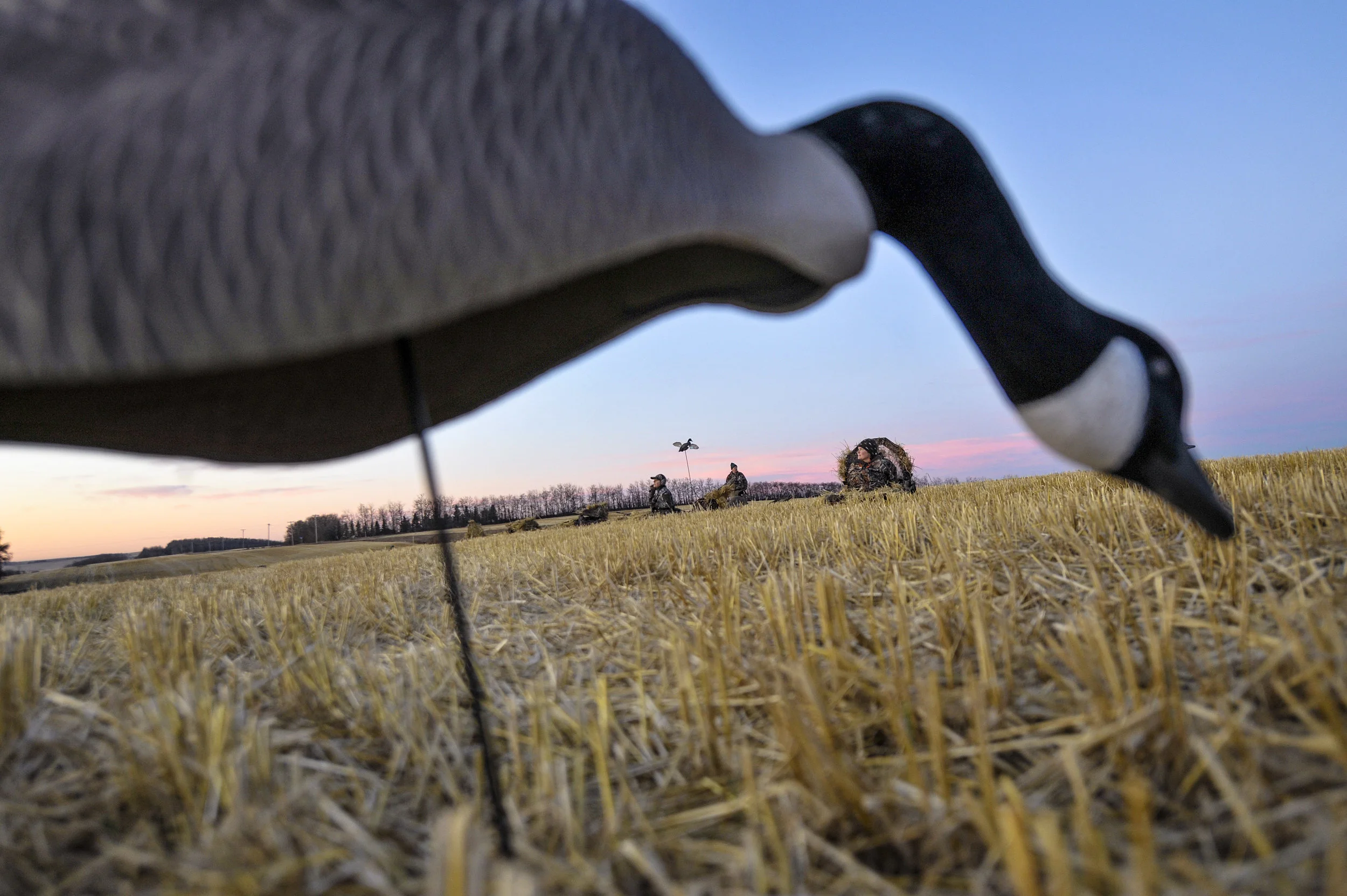 A group taking part in one of Bittern Lake Lodge's all female hunters prepare and wait for wild fowl near Camrose, Alberta. Photo by Jimmy Jeong