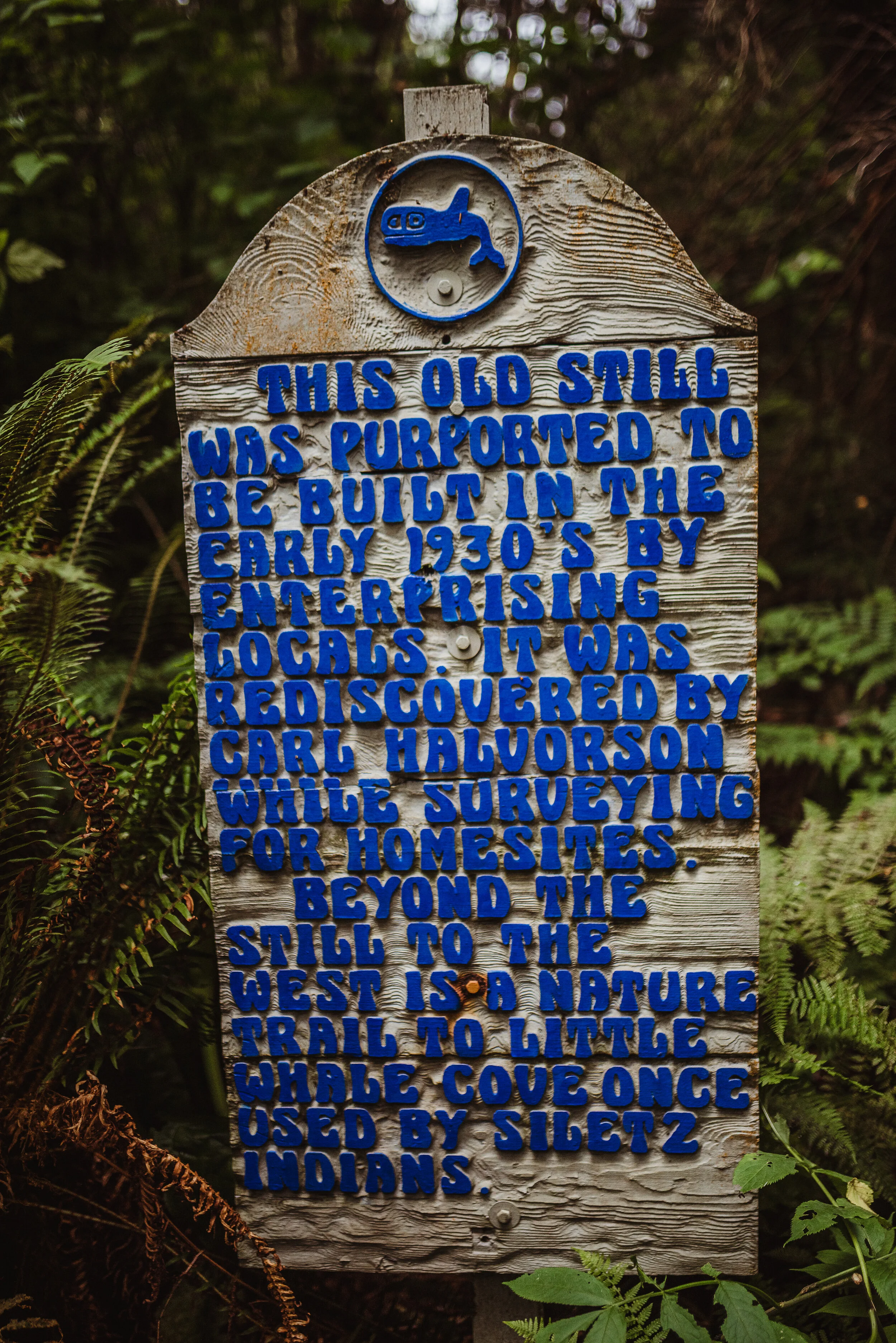 _DSC6098.jpg