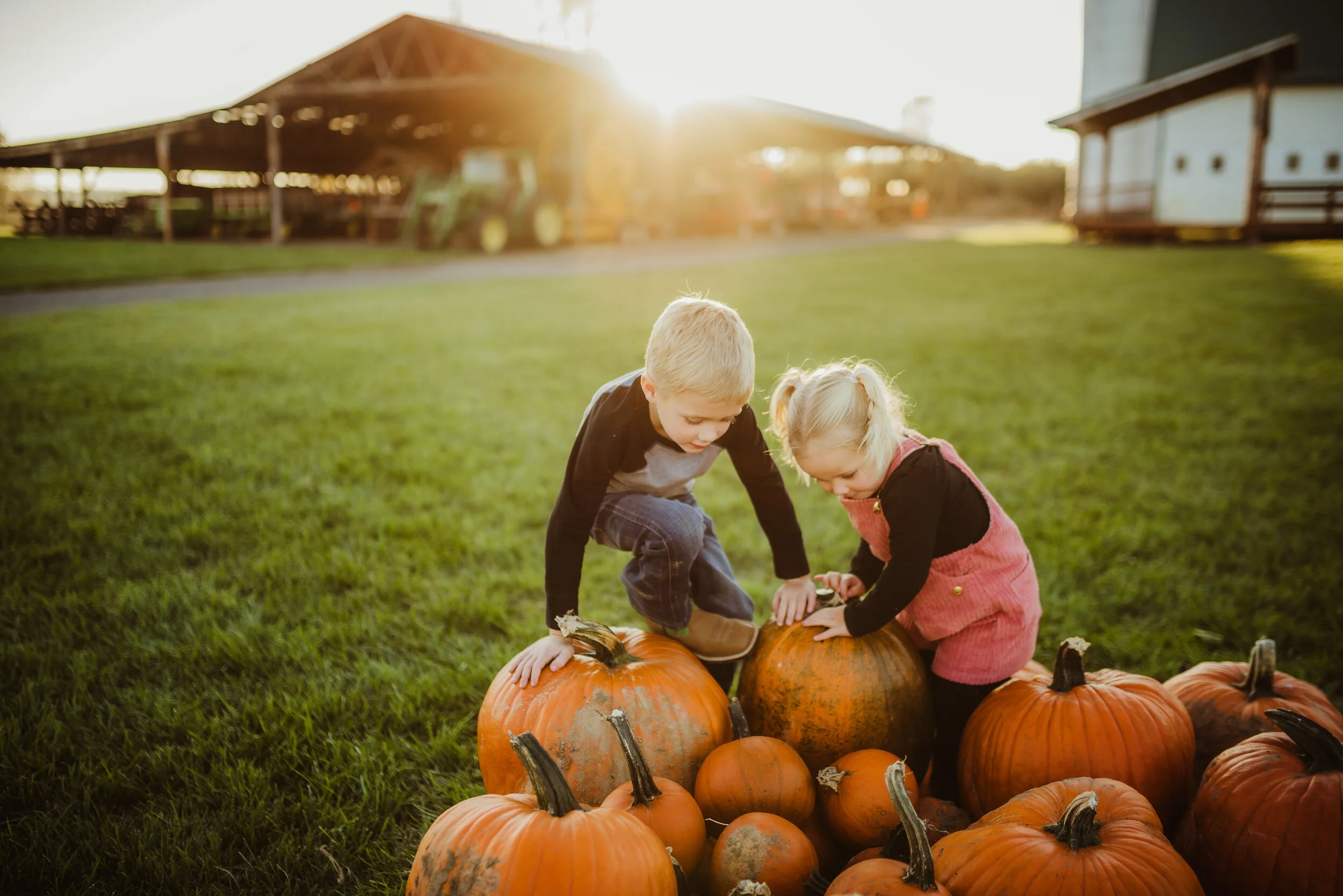 THE REEDS // FALL FAMILY SESSION // HEISER FARMS, DAYTON, OR