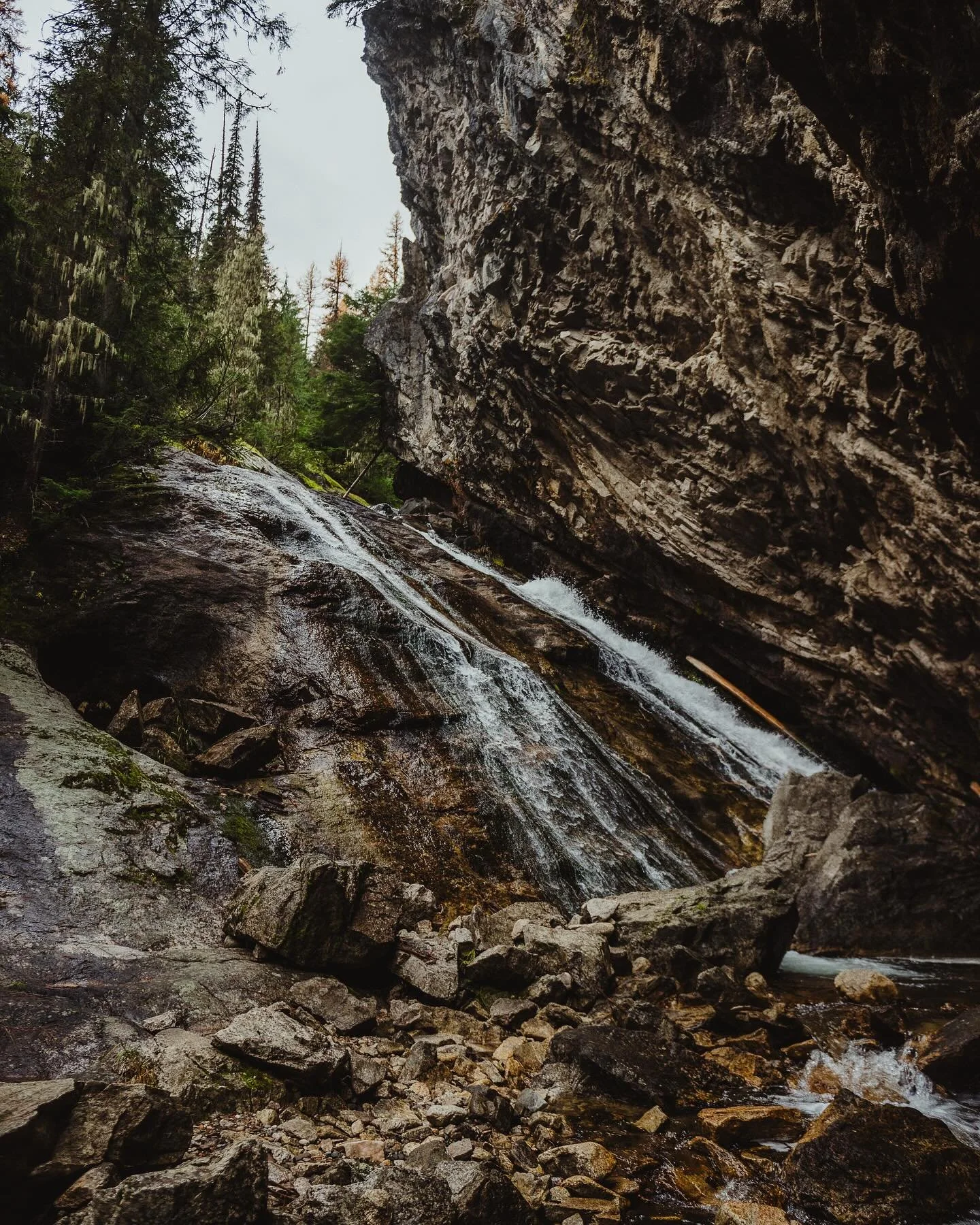 This and no cell reception