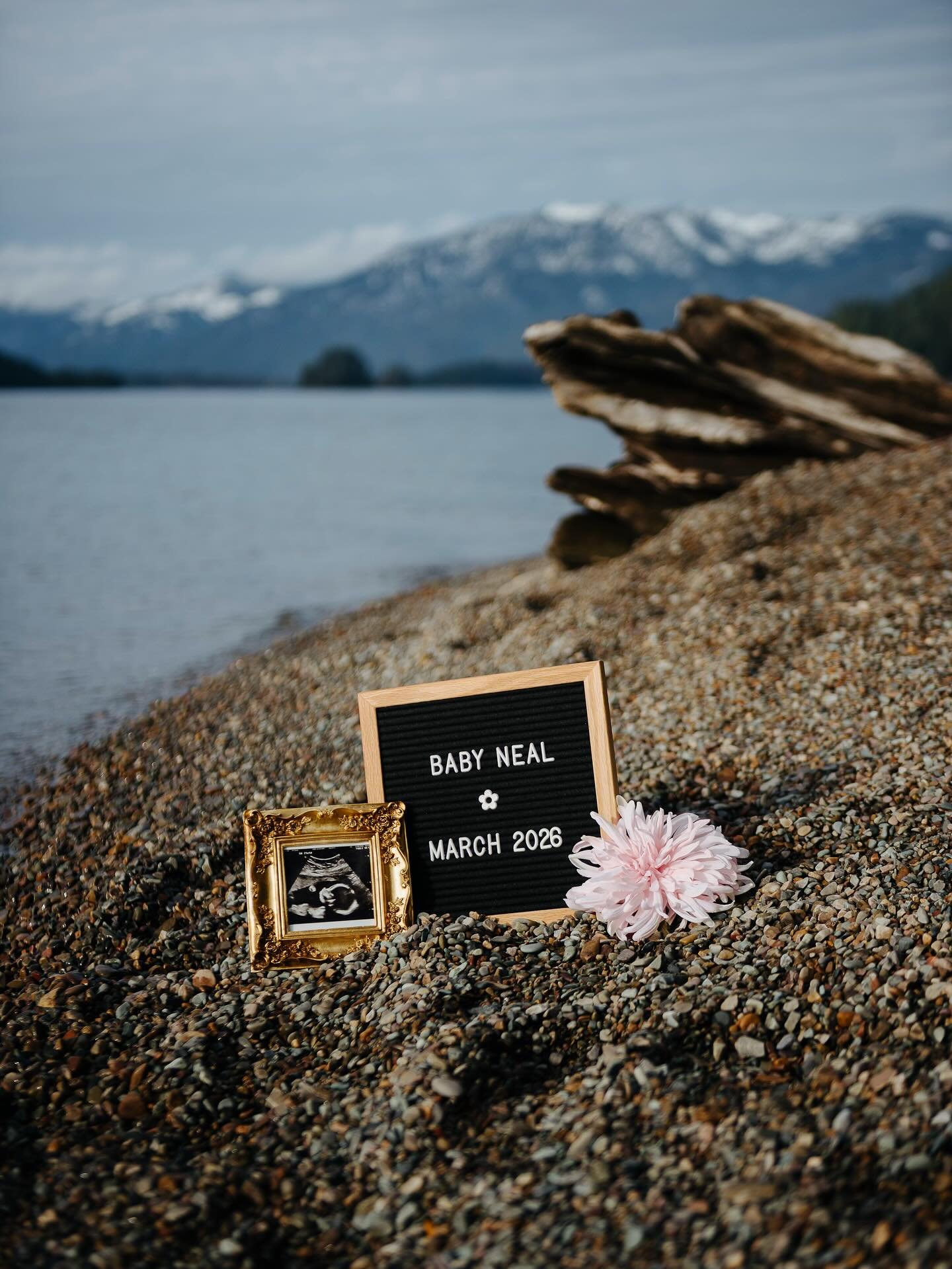 Baby Neal March 2026!!!
Oh baby girl, we are so excited to meet you 💗🥹