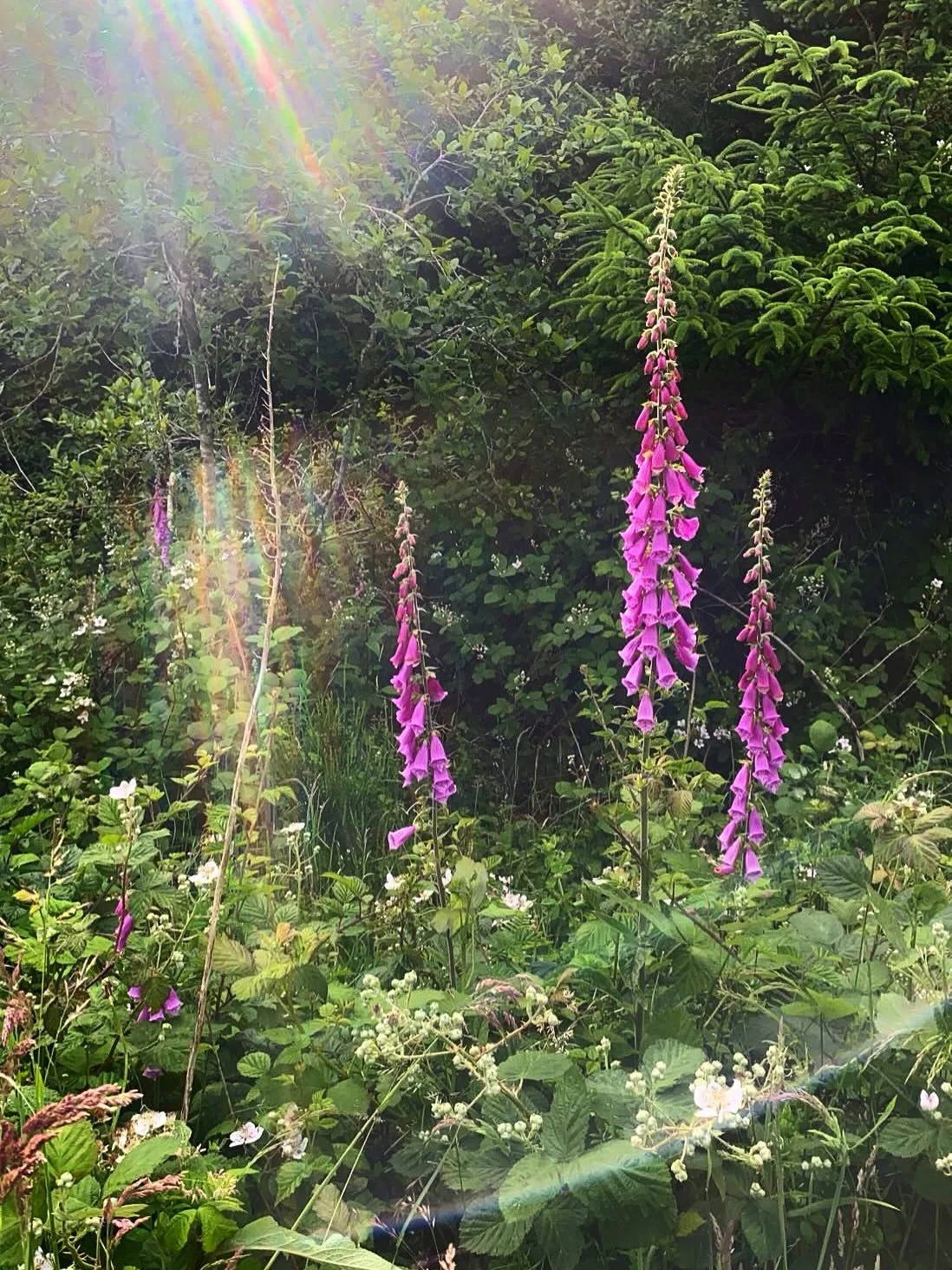 Channeling late spring vibes ✨ Looking forward to lush green &amp; sunny mornings with our baby girl 🌿🌞🌸
