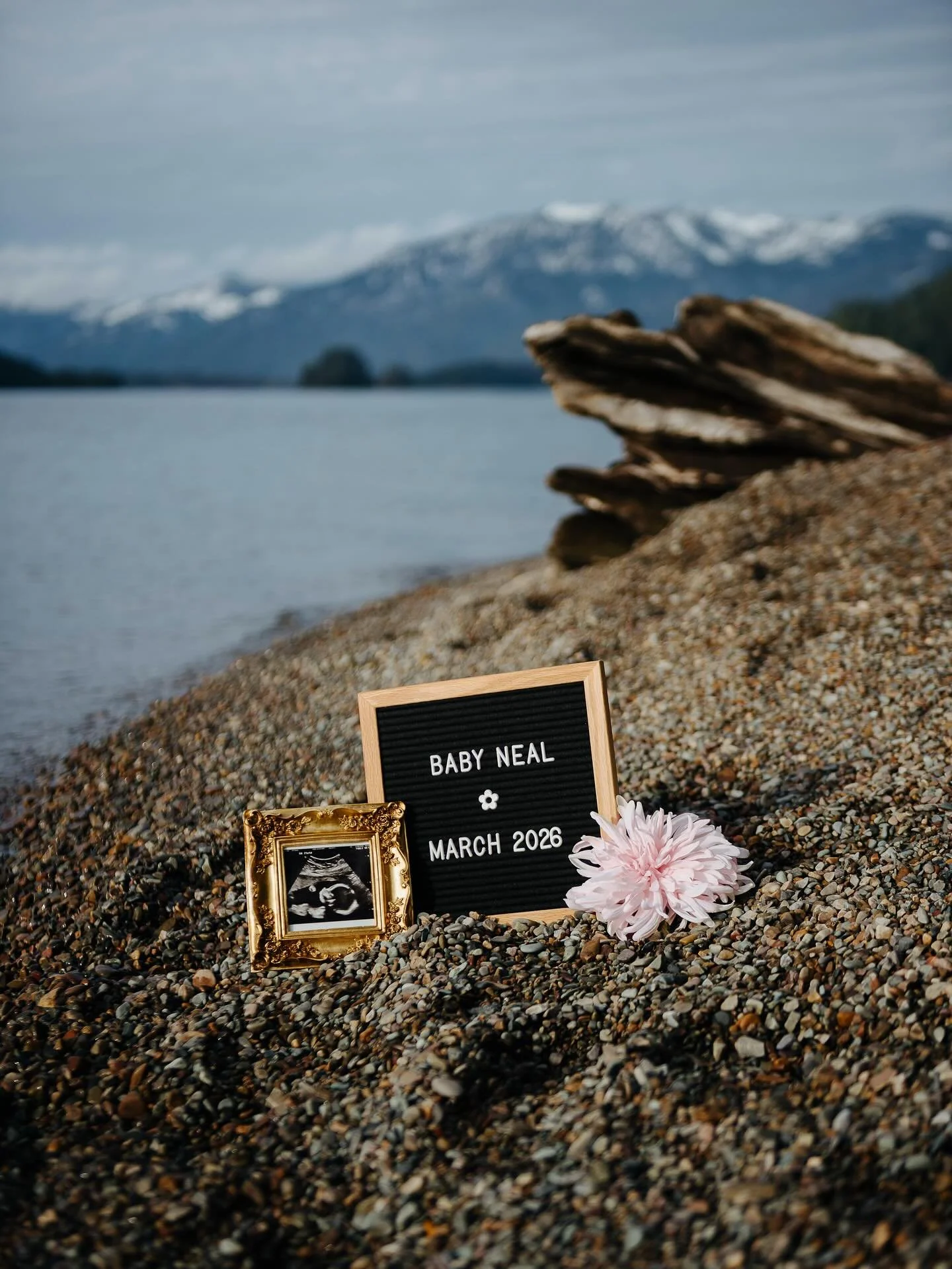 Baby Neal March 2026!!!
Oh baby girl, we are so excited to meet you 💗🥹