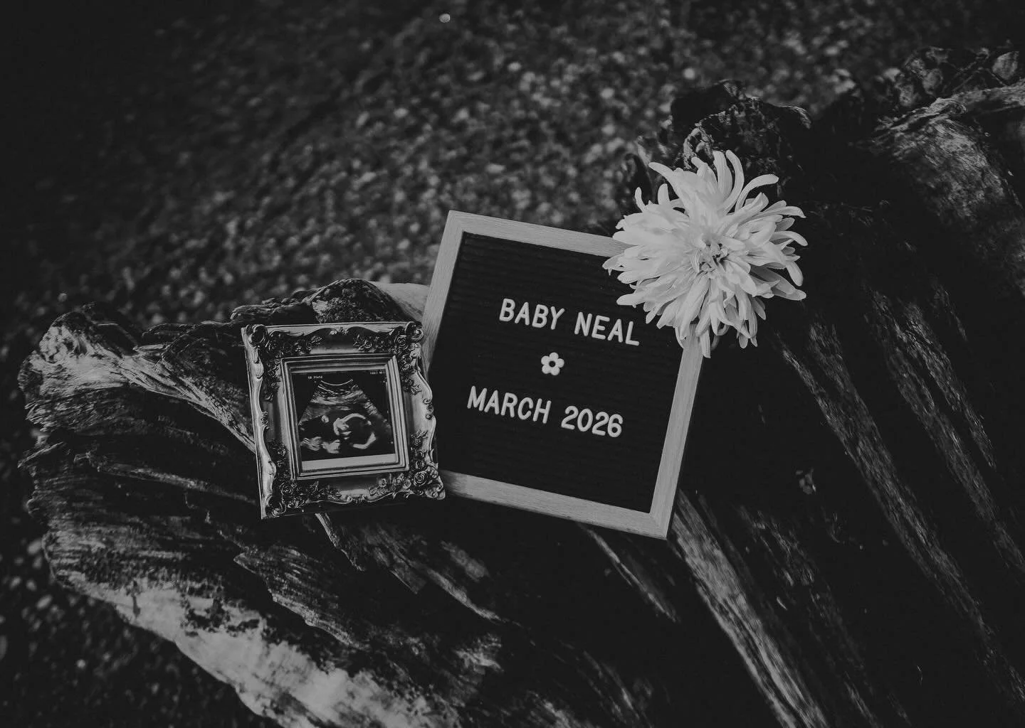 As many of you already know we welcomed our baby girl 1.5 months early on February 5th 2026! This last month and a half with her has been the best time of our lives and have enjoyed every second of this wonderful new era! I will of course share some 