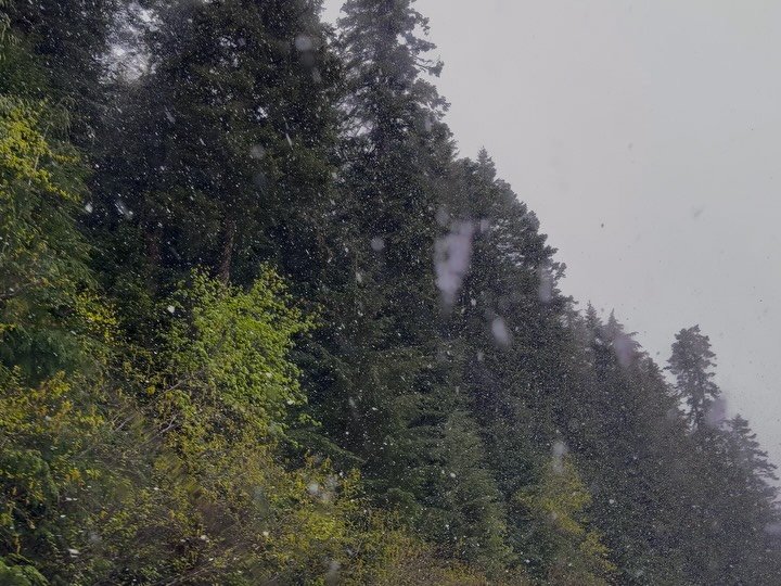 Took the back way around the lake for groceries! The snow was magical! Might be my new favorite drive! We live in such a beautiful area 💚🌲🏔️