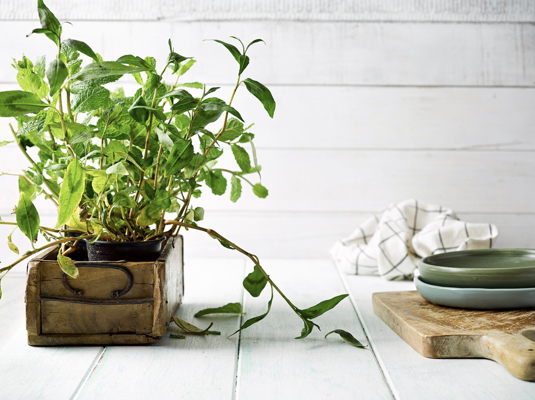 Screen Shot 2019-10-19 at 6.13.03 PM.png