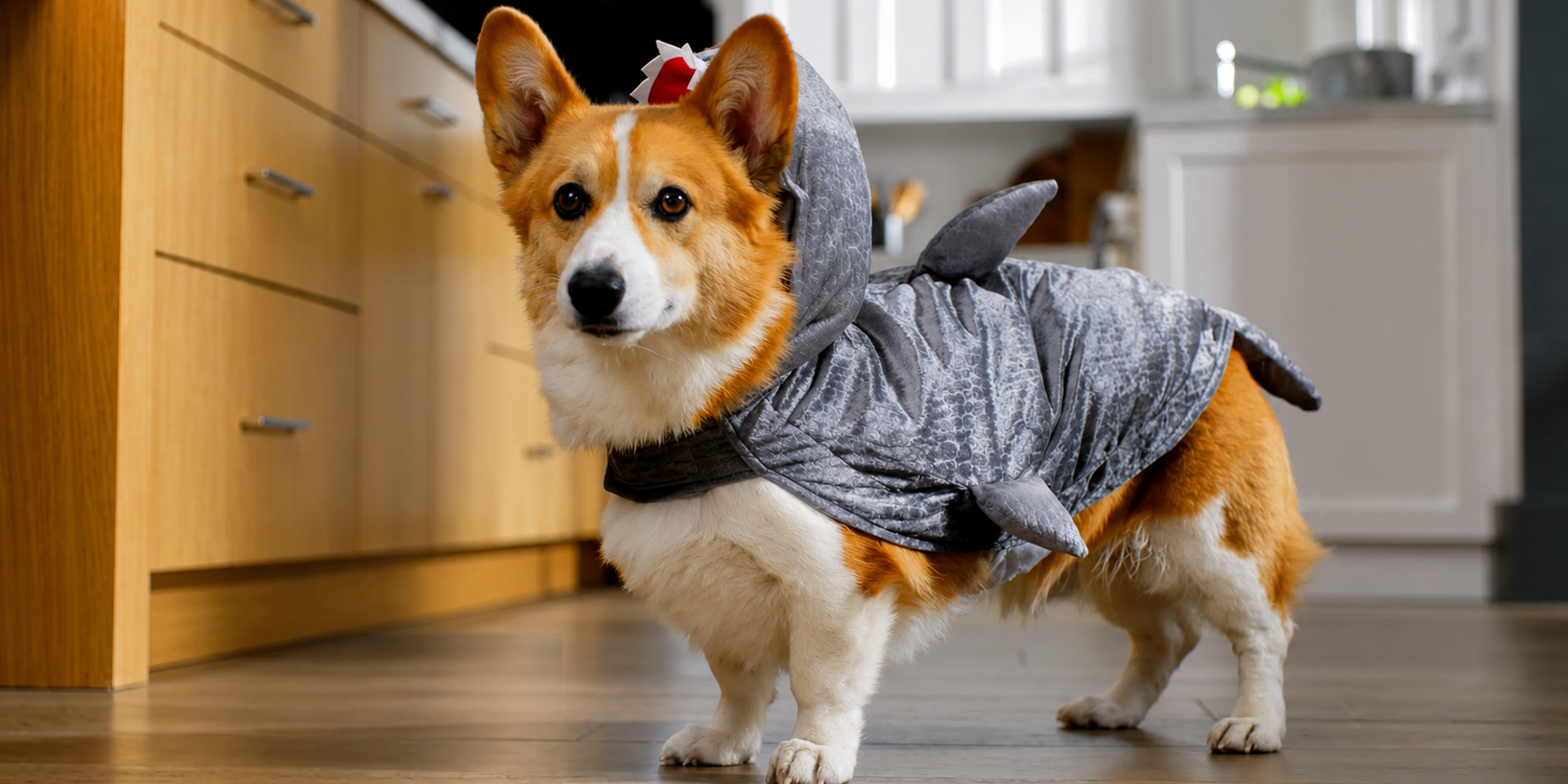 066f1d76-28a6-4700-ab63-1a18a71607a0.png