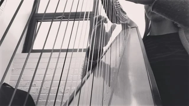 I&rsquo;m a few days late, but it&rsquo;s never a bad day to post something Star Wars-related, right? 💫🌑 (apologies for the out-of-tune, in-need-of-help school harp) || Swipe ➡️ for a clip of me playing this in performance!