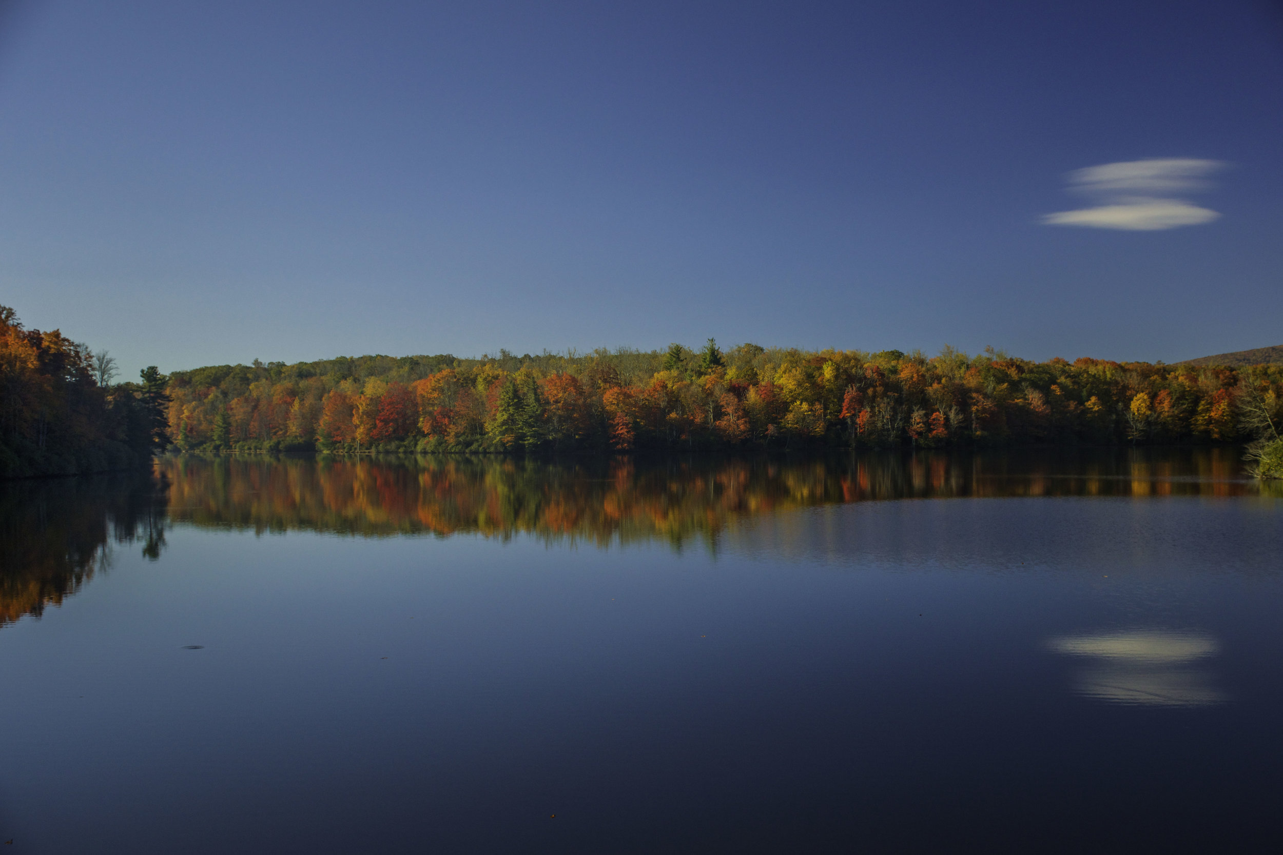 DSC_01712.jpg