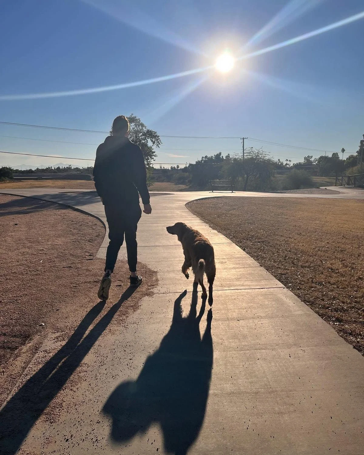 silhouette of a man and his dog walking into the sunset