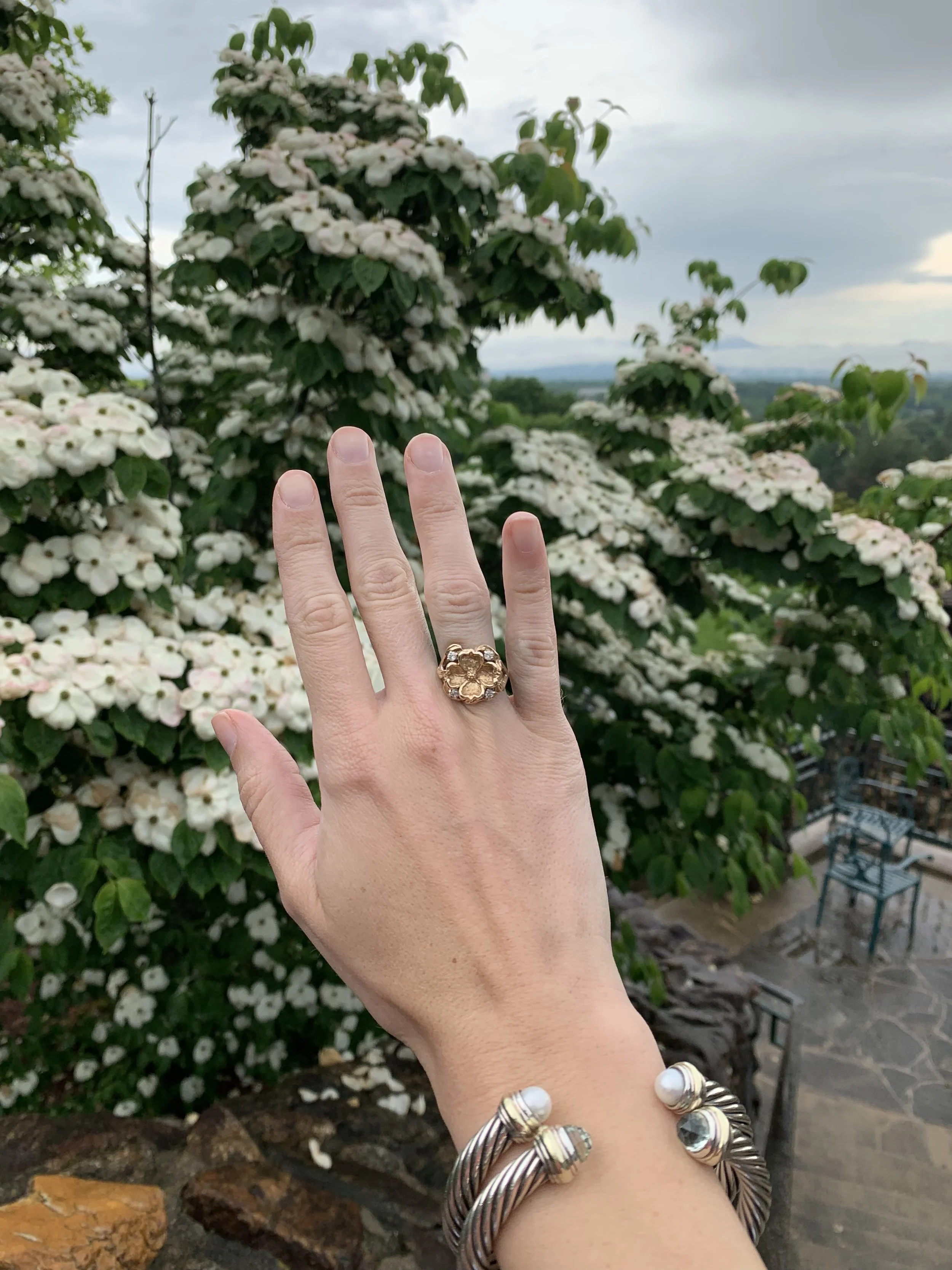 I wanted a photo of my dogwood ring with the dogwood tree. Don’t worry, I don’t have gangrene…just a nickel allergy and my finger turns green when I get cold. It does this with my Aggie ring too.