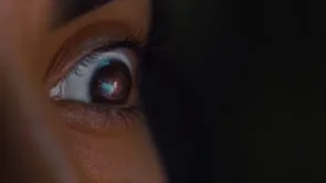 Crave Foods | Fantasy