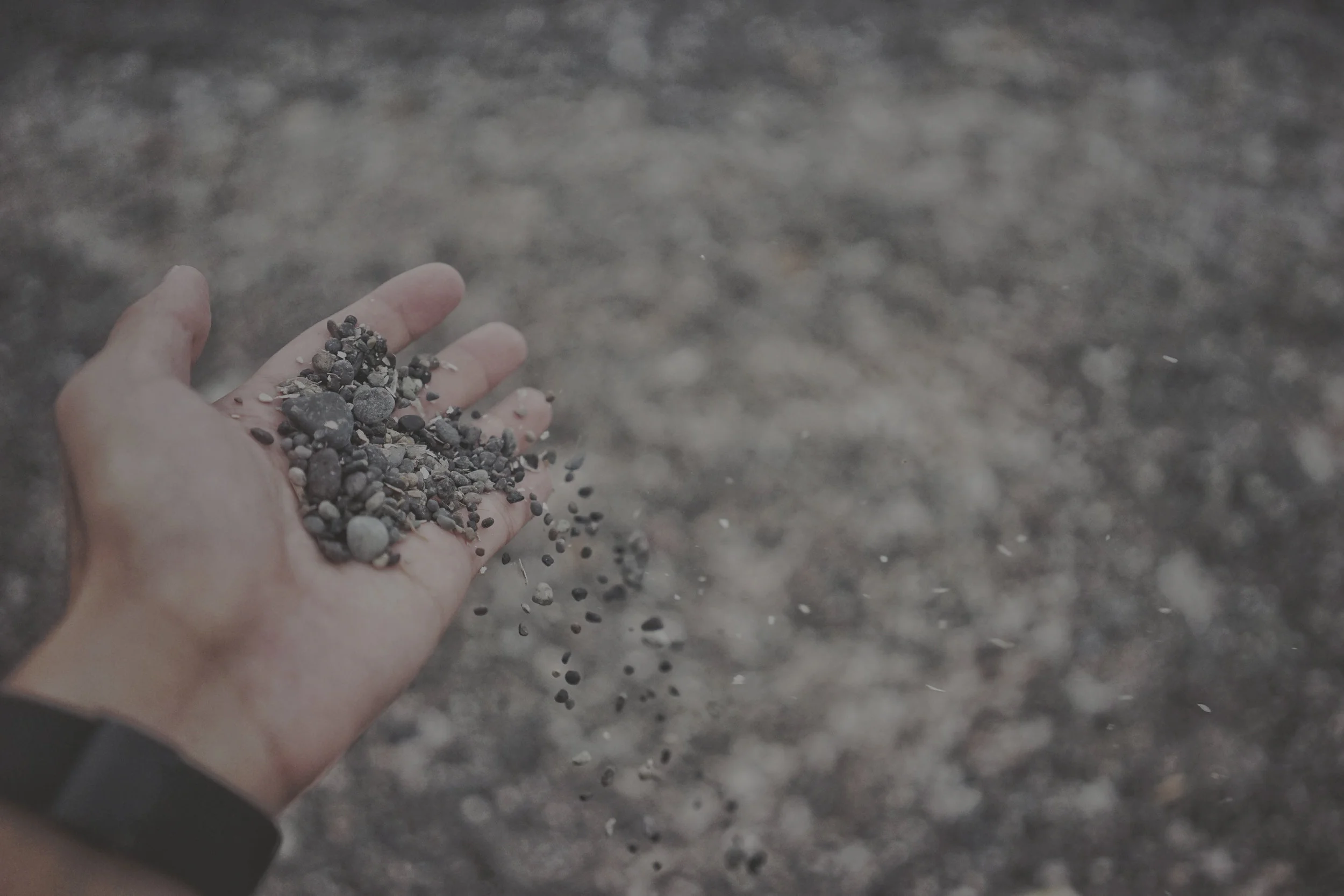 pan-xiaozhen-254933-unsplash copy.jpg