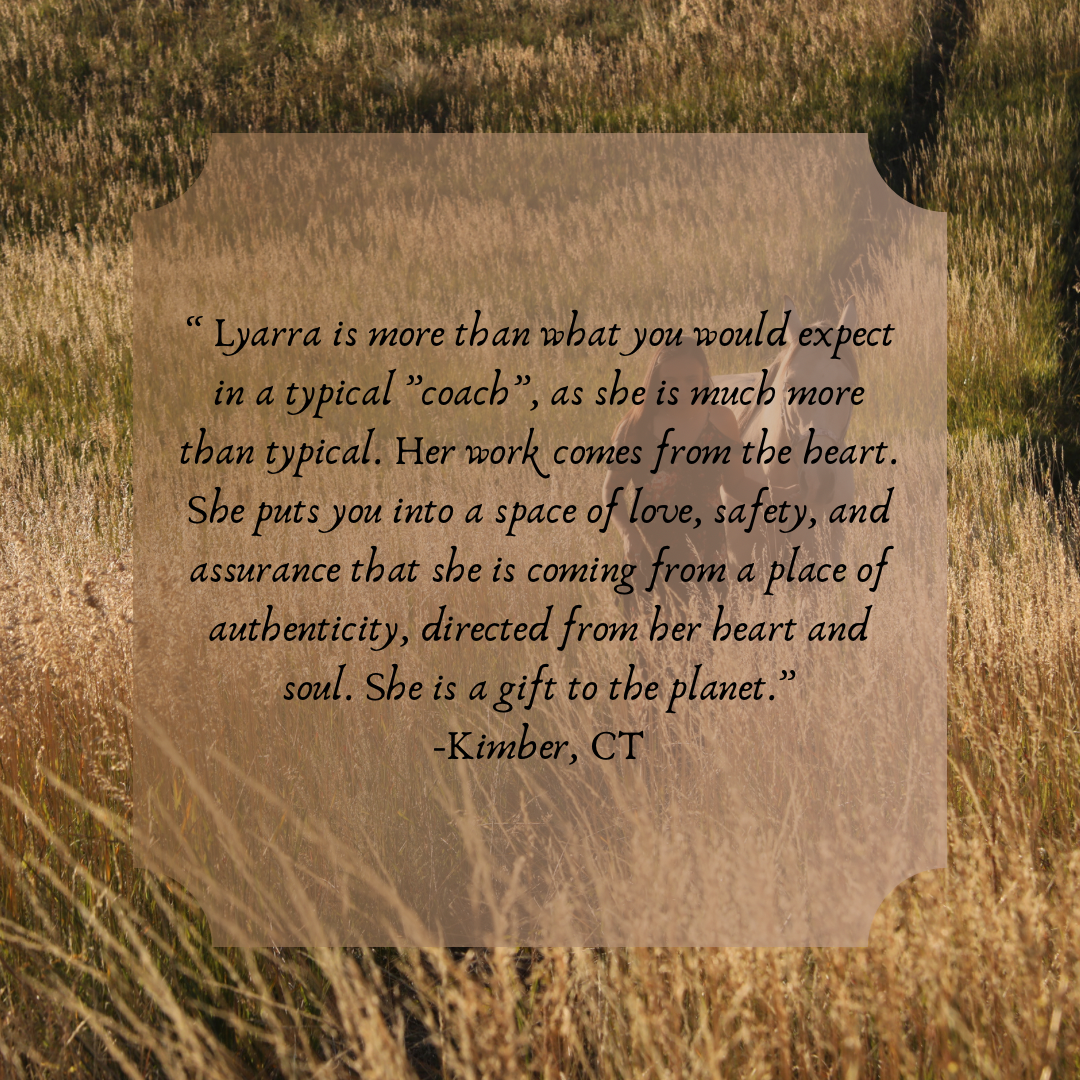 D62DF9AA-6820-401C-B73B-C72366F13887.PNG