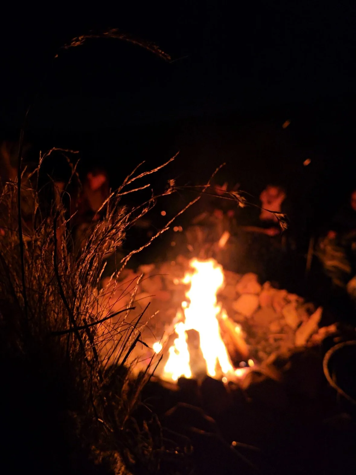 It is hard to express the level of gratitude and awe I feel for the incredible humans that came together to make this Samhain event a reality.

Ever since I was a tiny little girl, I wanted to be a witch, though for the majority of my life I didn't k