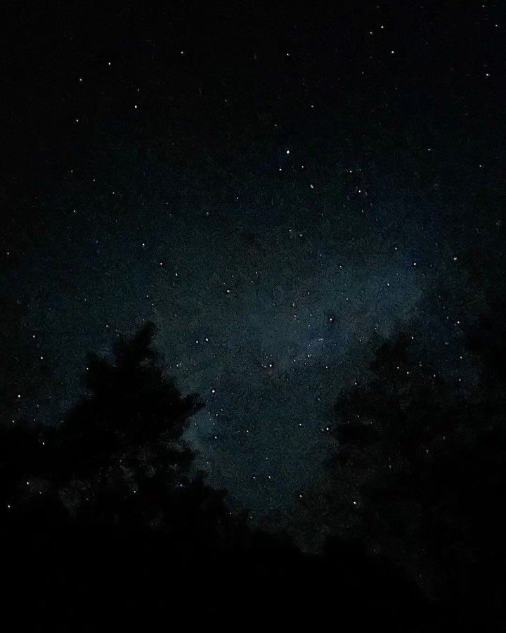 Last night we had a beautiful Full Moon sitting right on top of the Pleiades, the Seven Sisters, shining abundance and blessings upon us as we begin our descent into the darkest part of the year.

As the Winter Solstice approaches, this final Full Mo