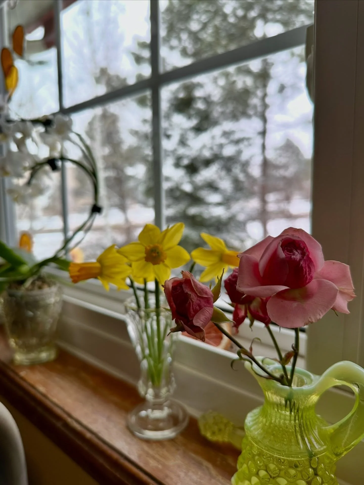 Slowly but surely, mama Gaia is yawning awake..
Can you feel her churning?

Lady Spring is on her way 🌸🤍🌸