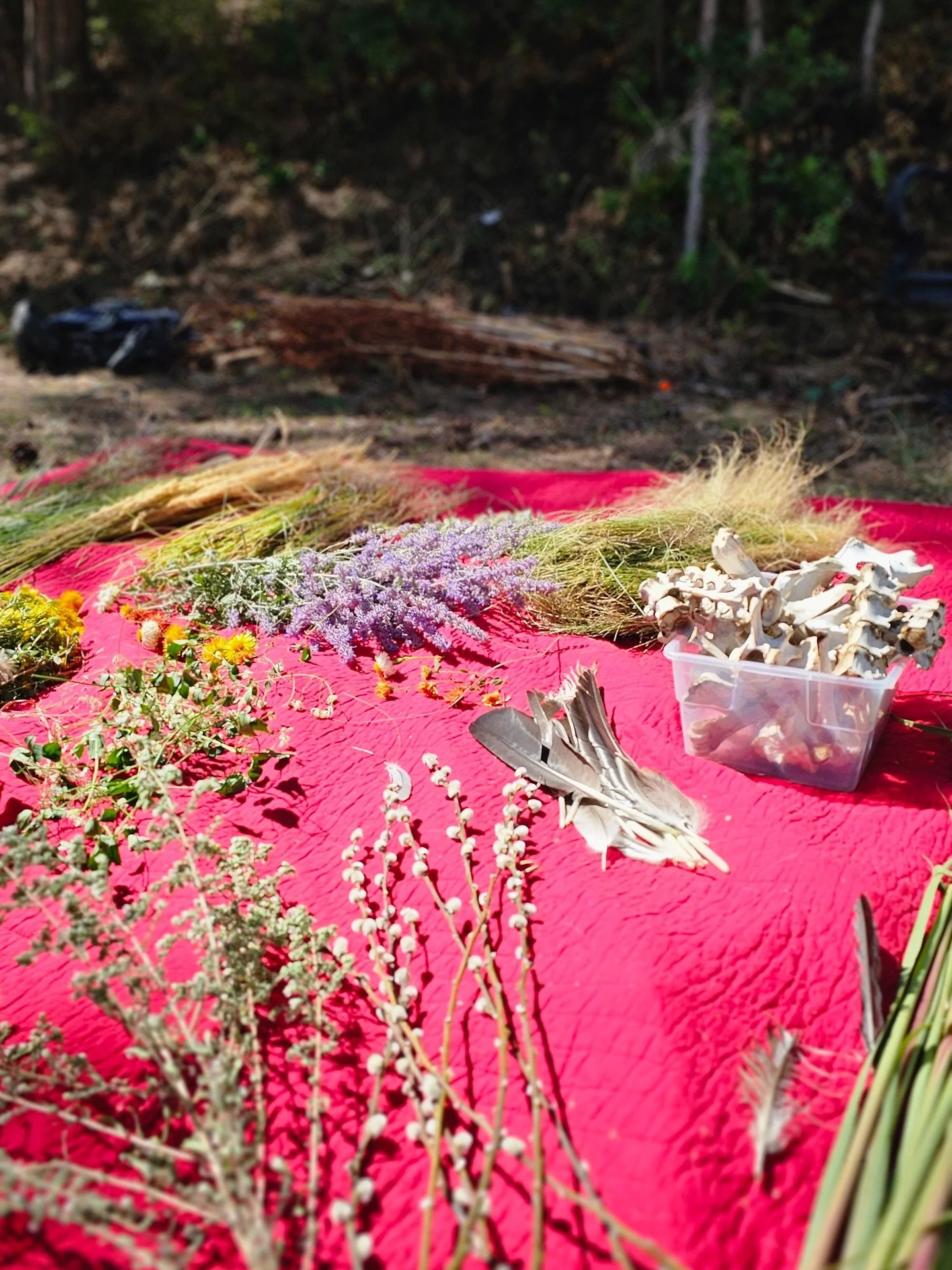 Very late, but I just had to take a minute to celebrate this beautiful gathering ❤️

Our Mabon Besom workshop was so much fun, so deeply nurturing, and truly soul fulfilling 🥰

More magic from The Coven coming soon.. 😉