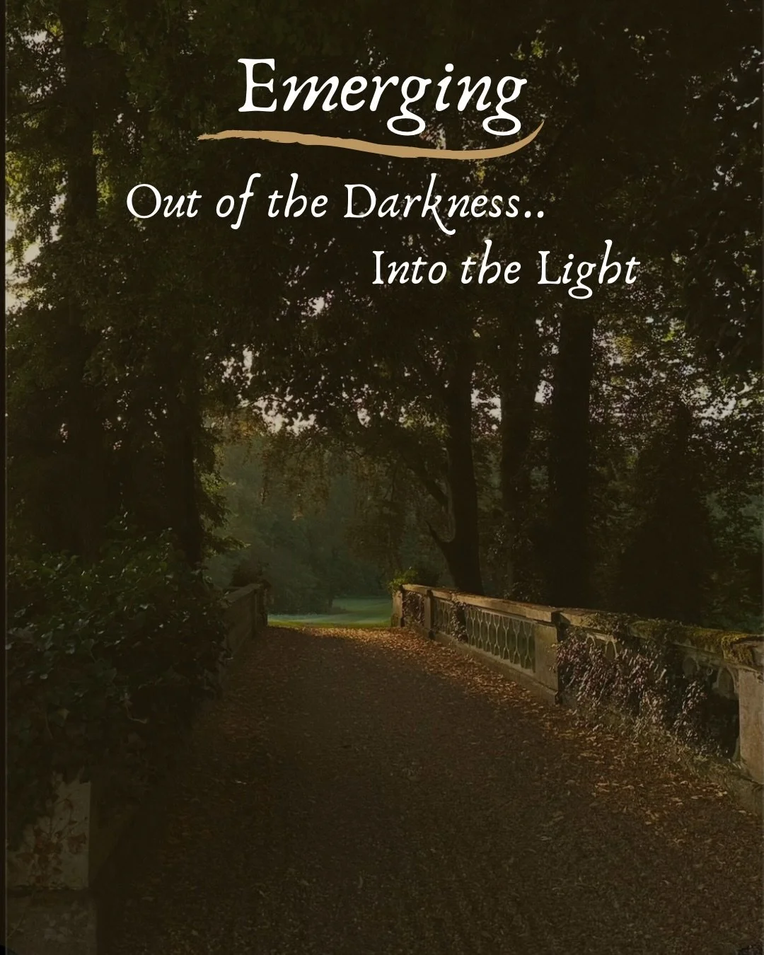 Join The Coven this Sunday at @halfmoonranchretreats for the ceremony of Emerging 🖤🤍

#emerging #outofthedarknessandintothelight #cyclicalliving #seasonalliving #consciouscommunity