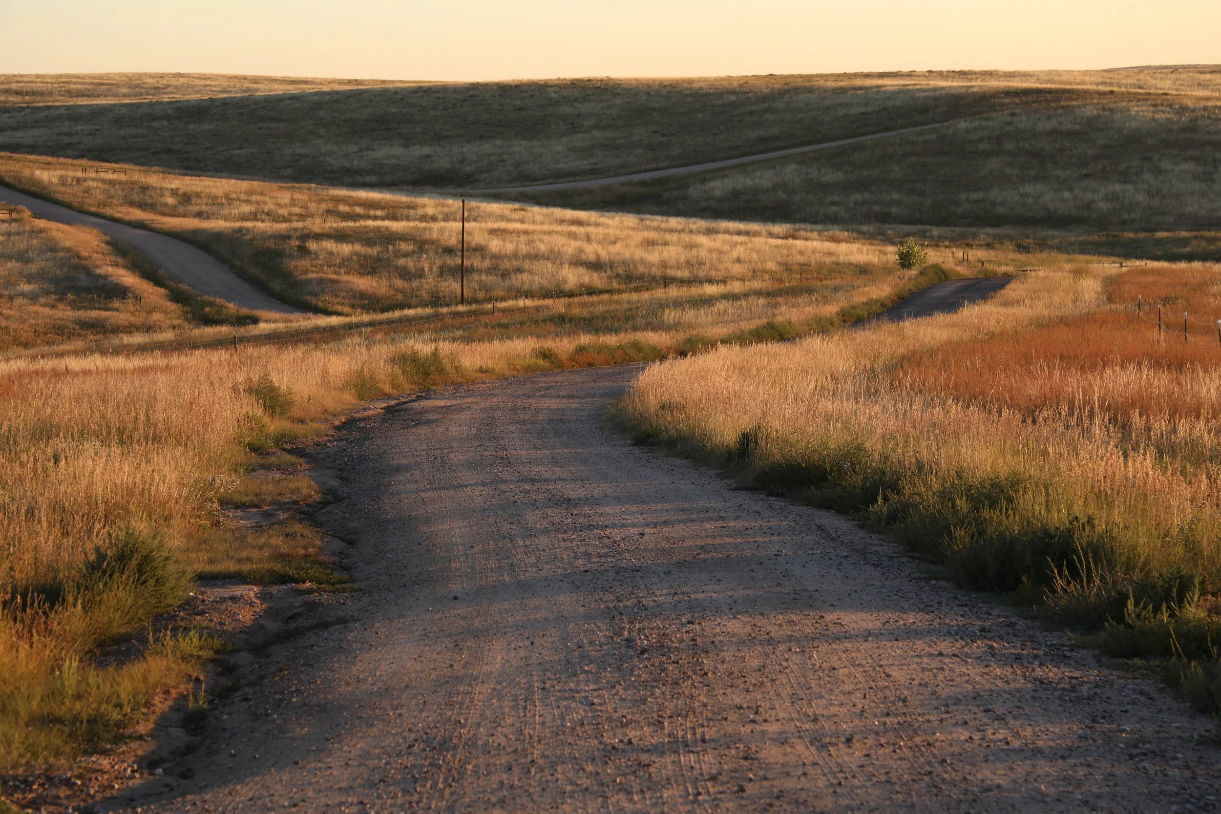 Home / Land Clearing