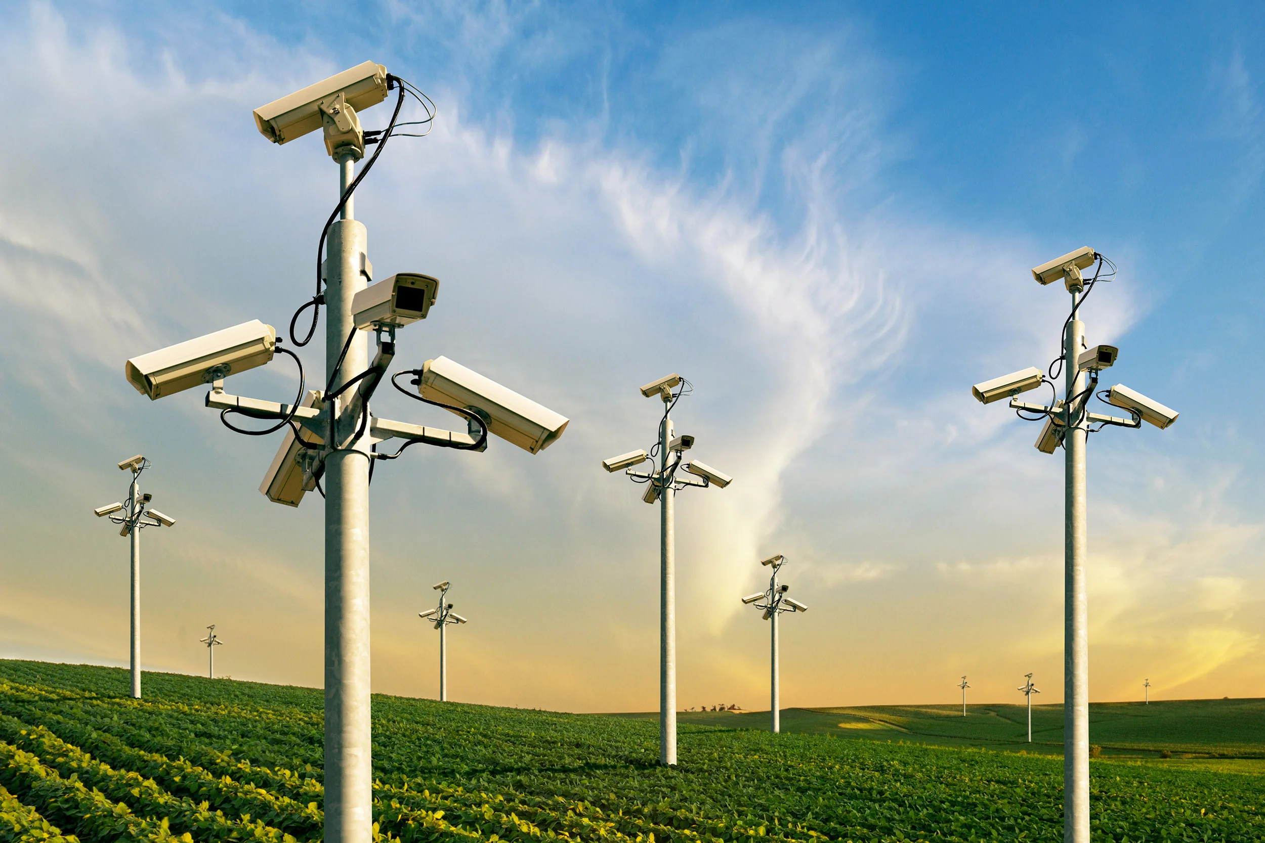 SurveilHeader.jpg