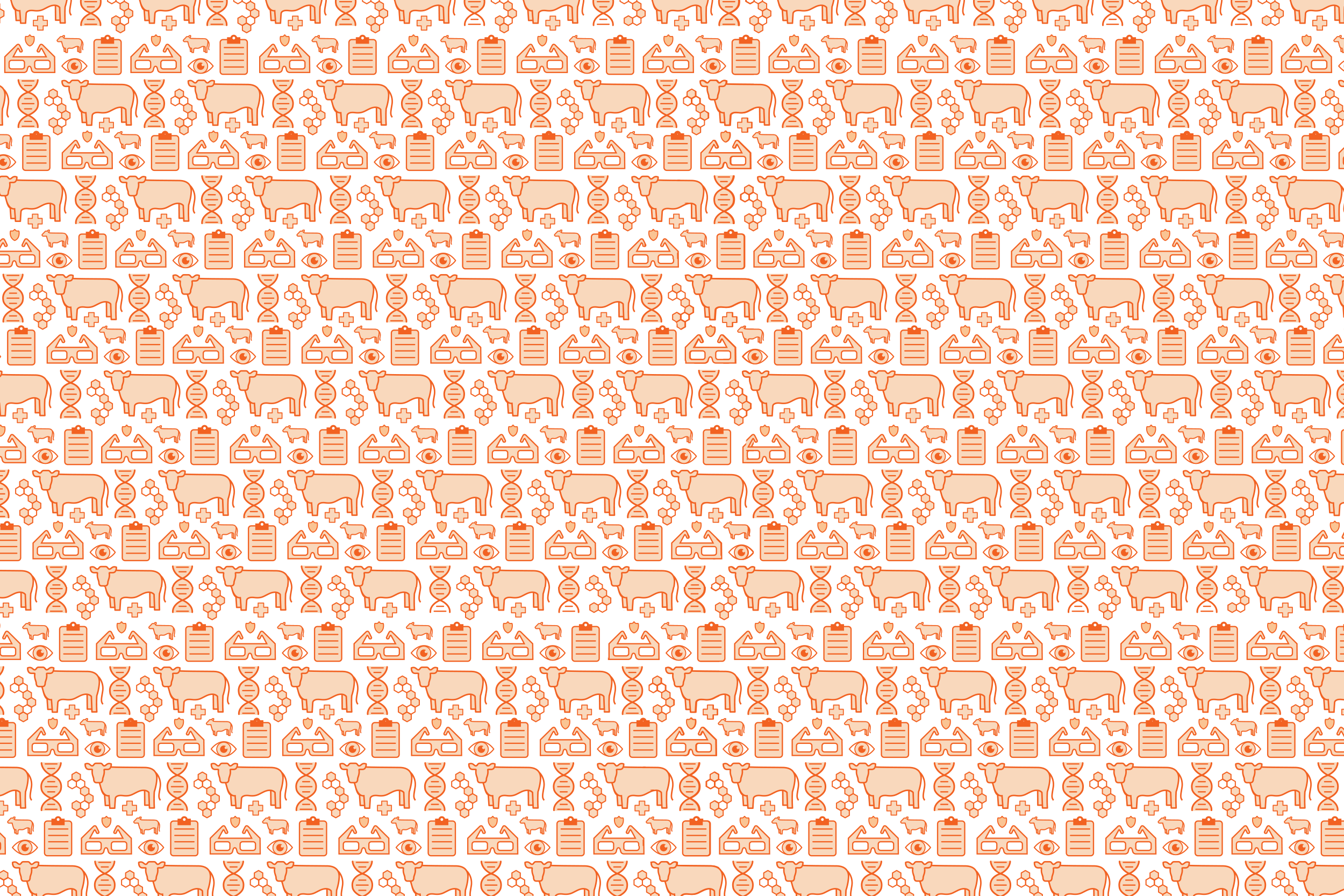 Pattern.png