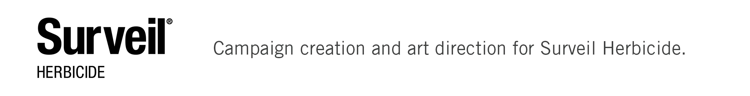 Surveil_overview.jpg