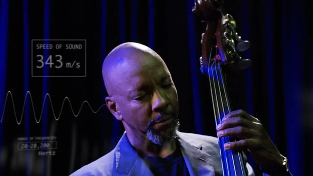 Mass Eye & Ear—Sense of Sound