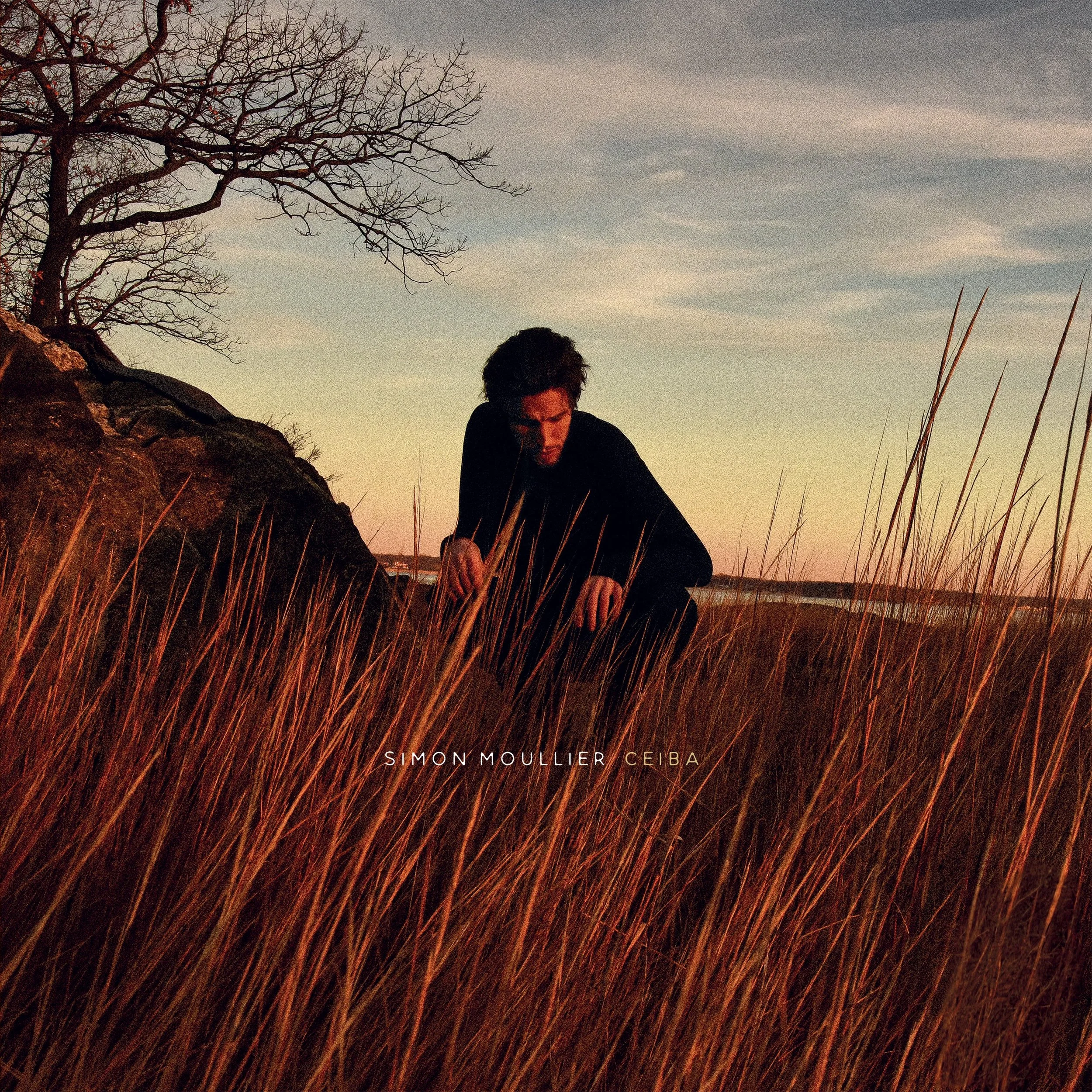 ALBUM COVER (Shervin Lainez) 3000x3000_Ltr copy.jpg
