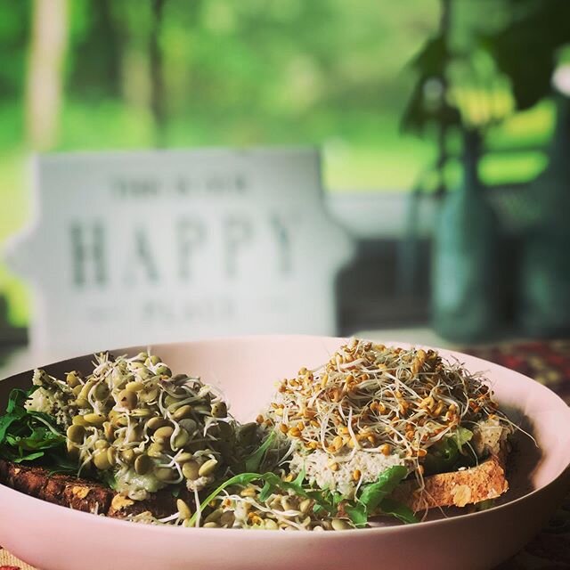 We&rsquo;ve been sprouting over here🌱

Mock Tuna Salad 
2 c raw unsalted sunflower seeds (soaked in water overnight in fridge)
1/2 lemon juice 
2 tsp olive oil 
or vegan mayo (optional)
1 tsp salt
1 tsp pepper
2 tbs dulse 
Pulse all in food processo