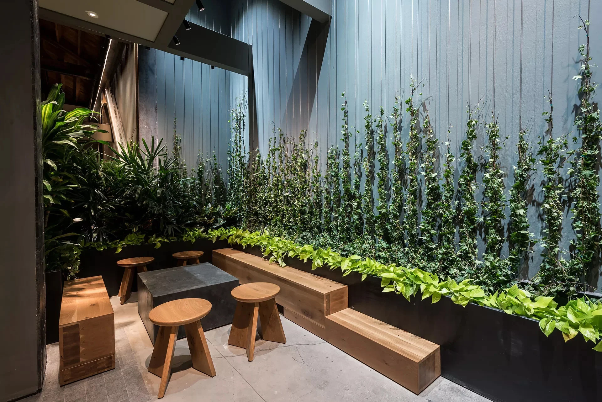 ezgif.com-webp-to-jpg (4).jpg