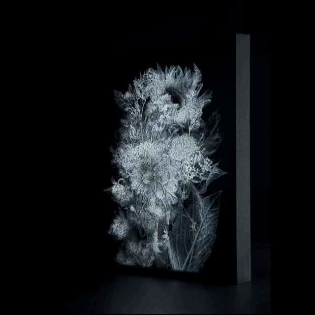 Chimera.1.gif