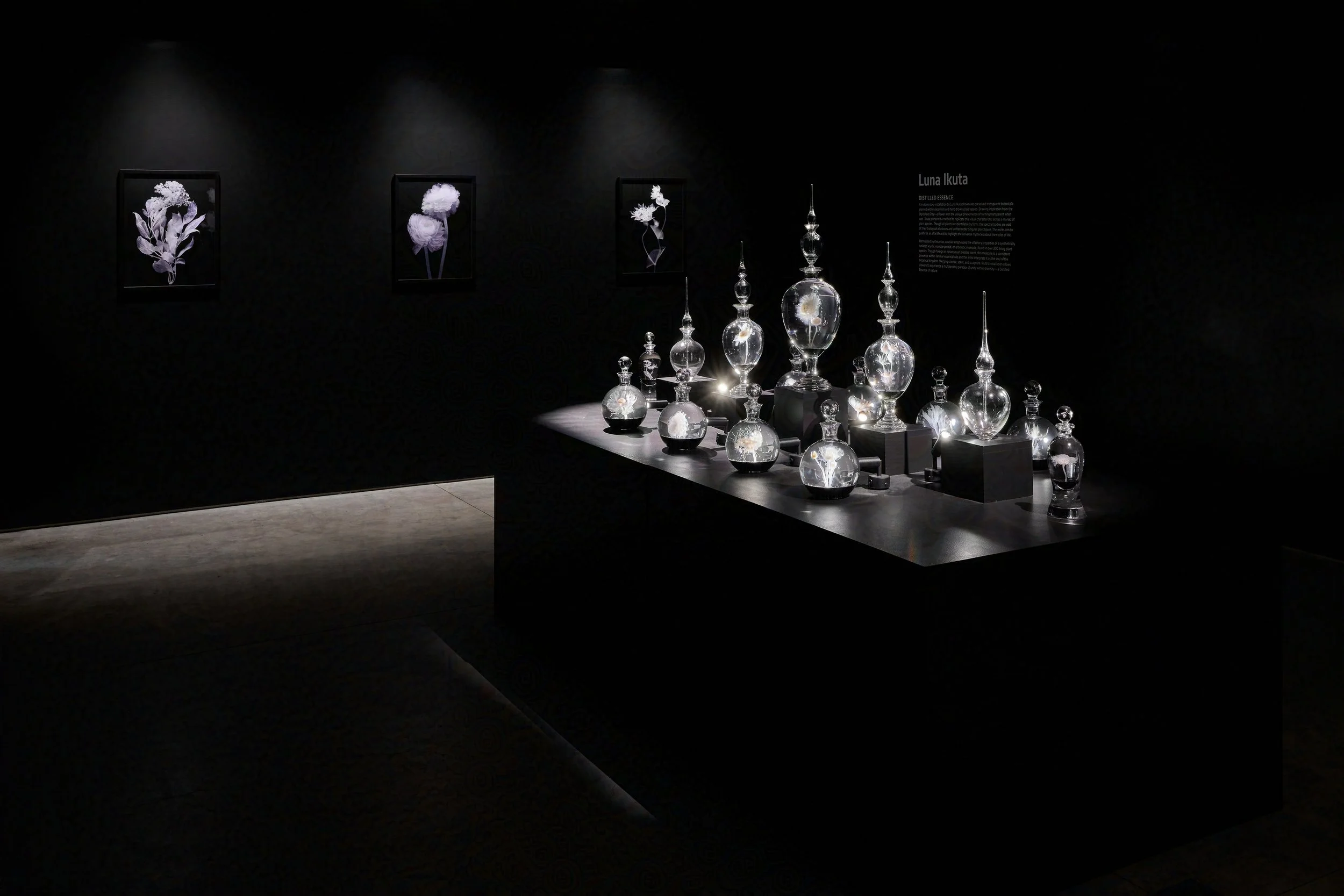 Distilled Essence Installation full-protected-intensity-DEFAULT-V2.jpg