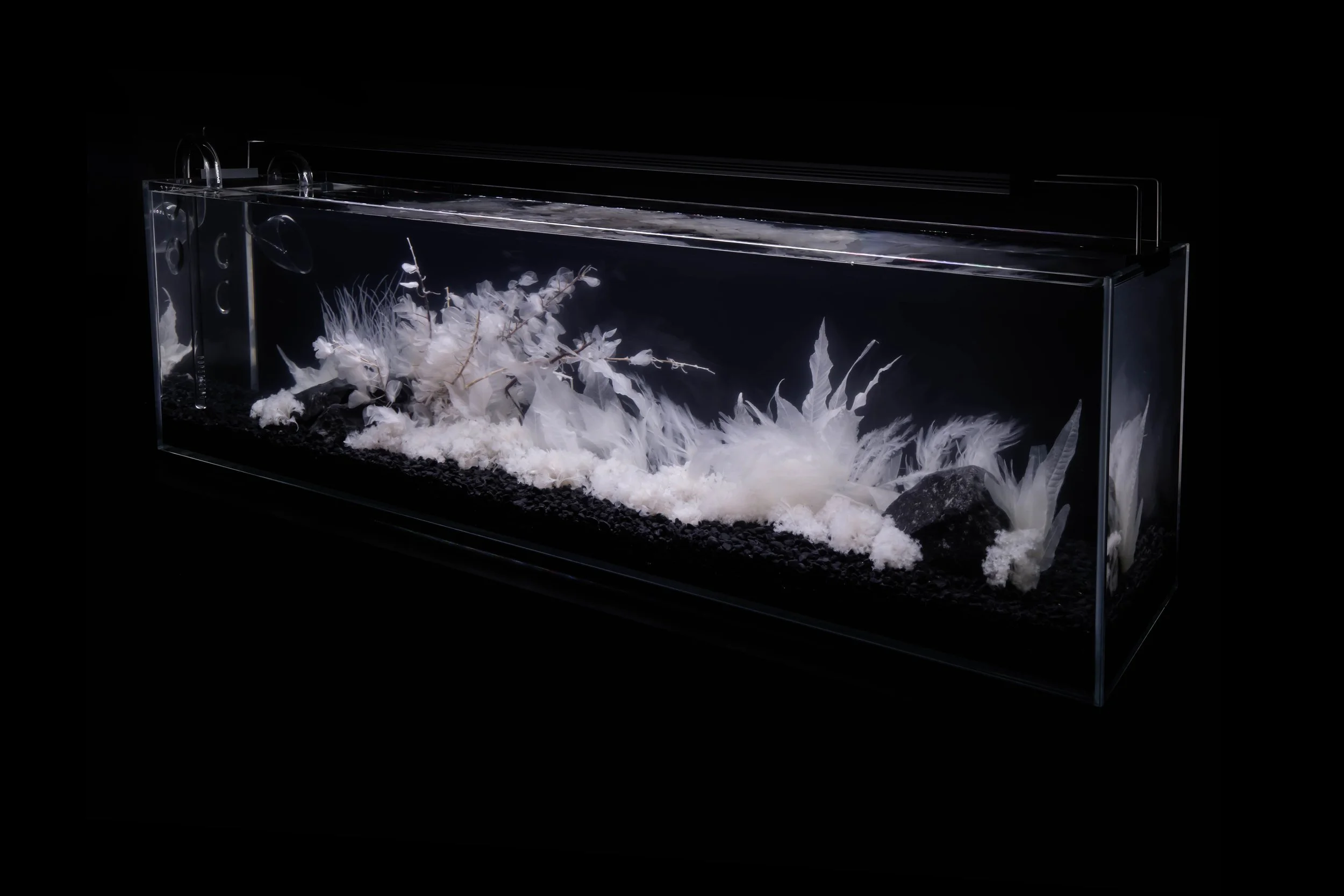 Opal Valley Installation.jpg
