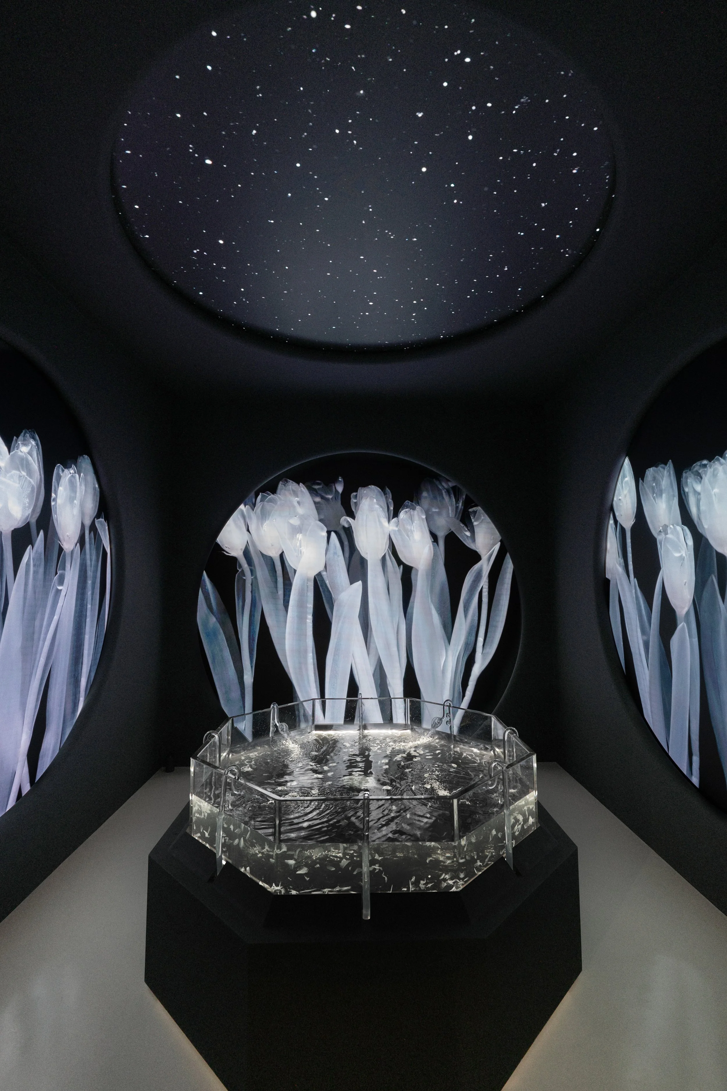 IMG_5525_Pro copy.jpg